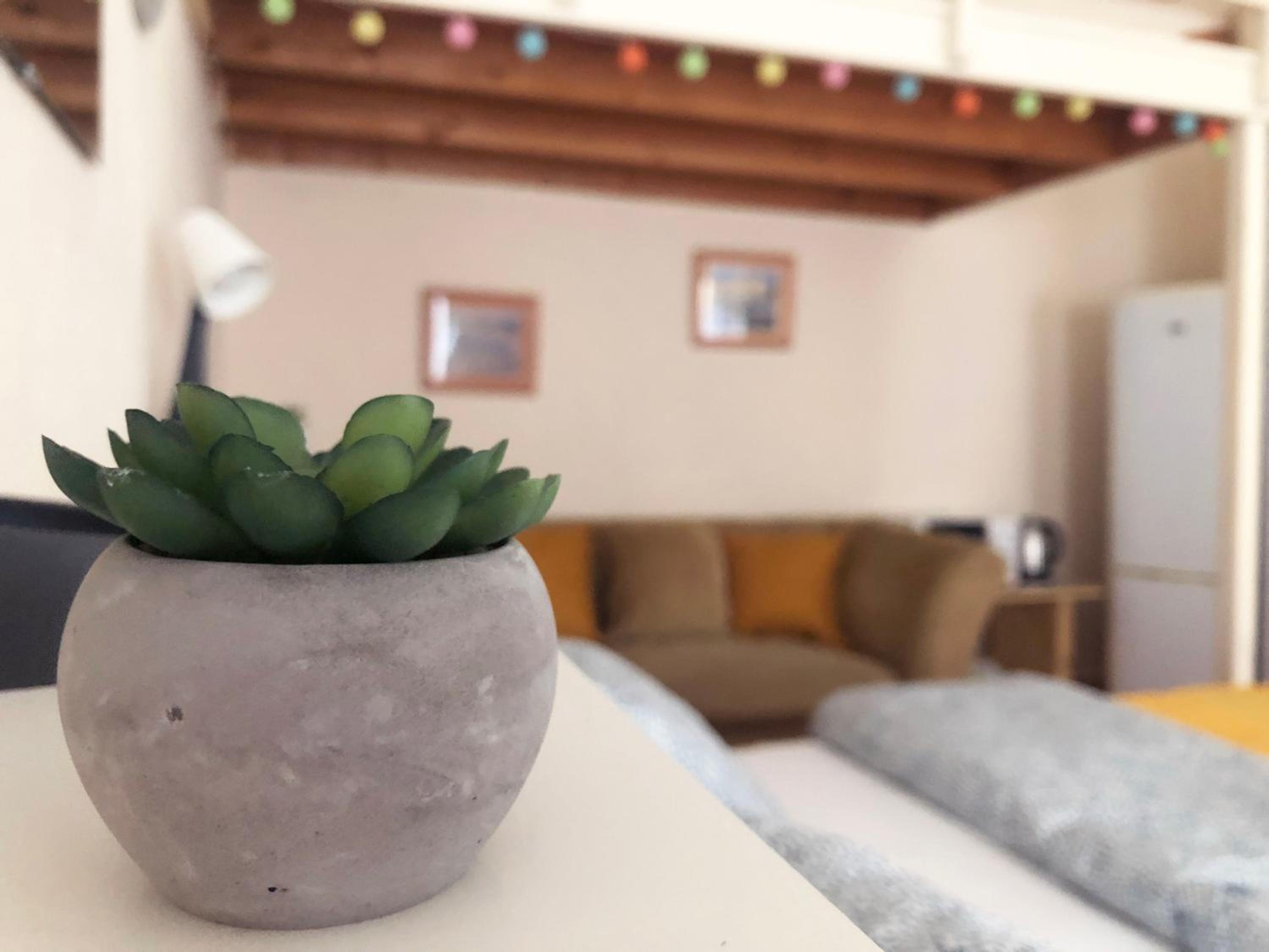 V57 APARTMENT OKTOGON view 5