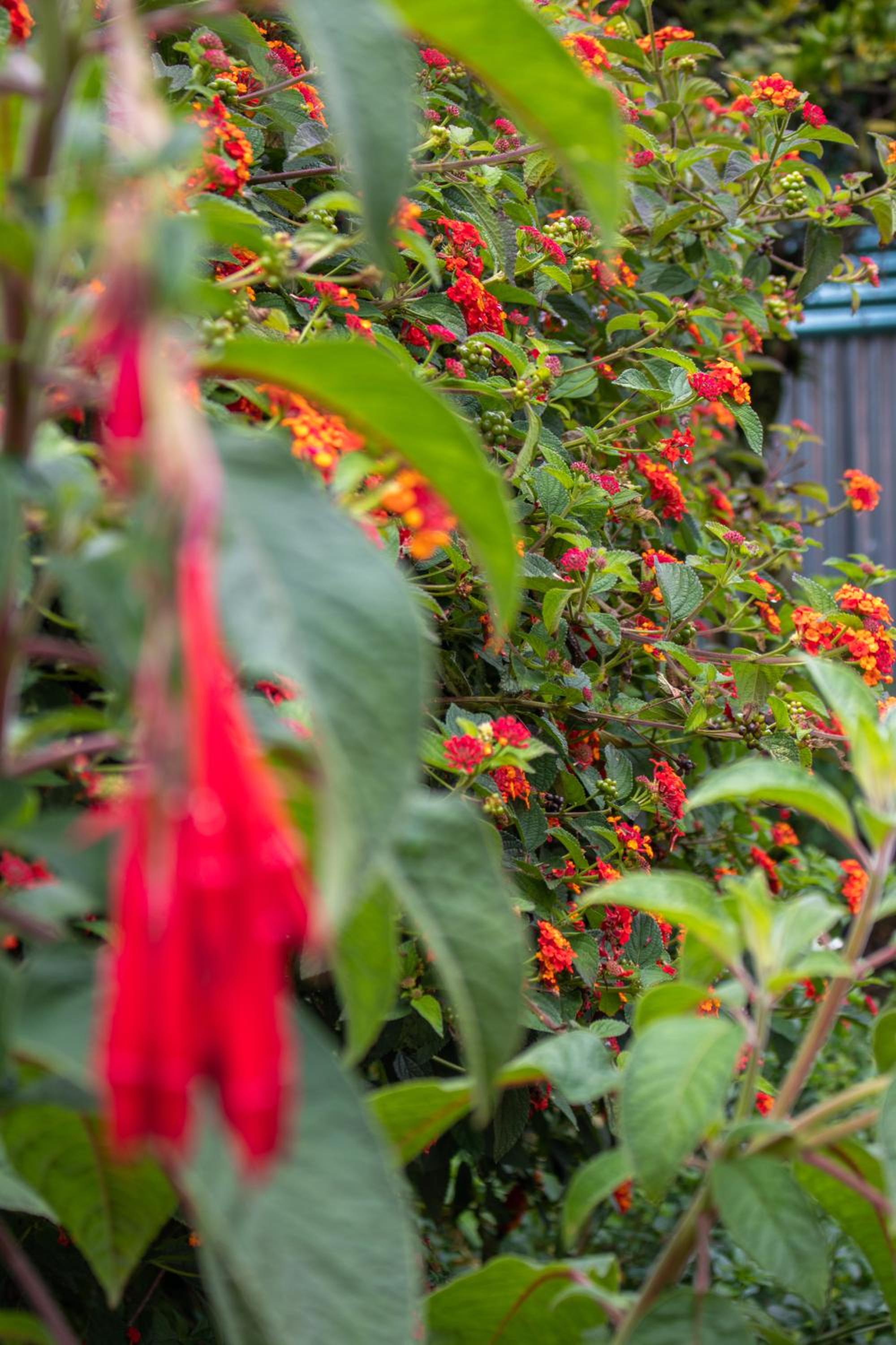 Cabinas las Manzanas Bed y Breakfast