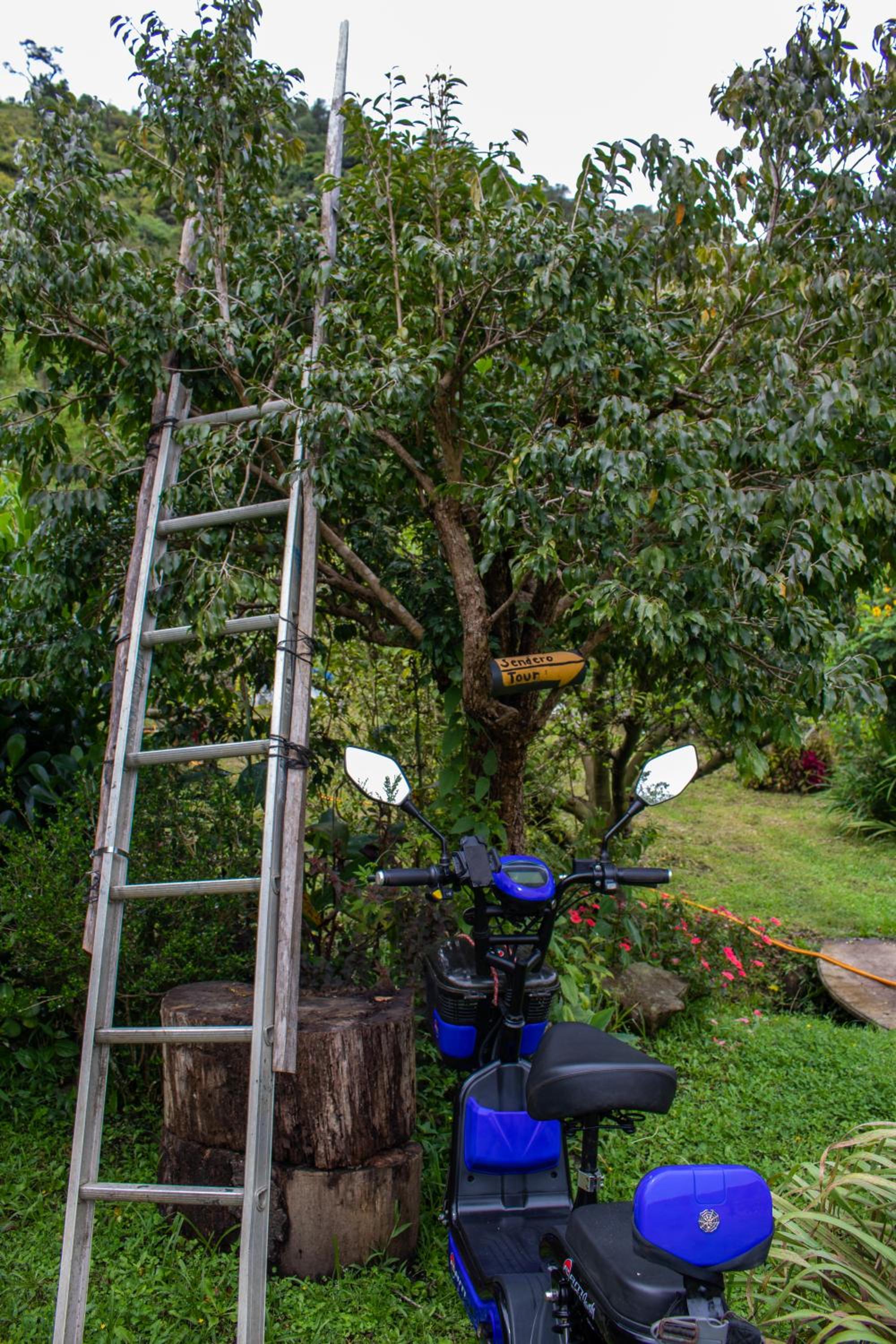Cabinas las Manzanas Bed y Breakfast
