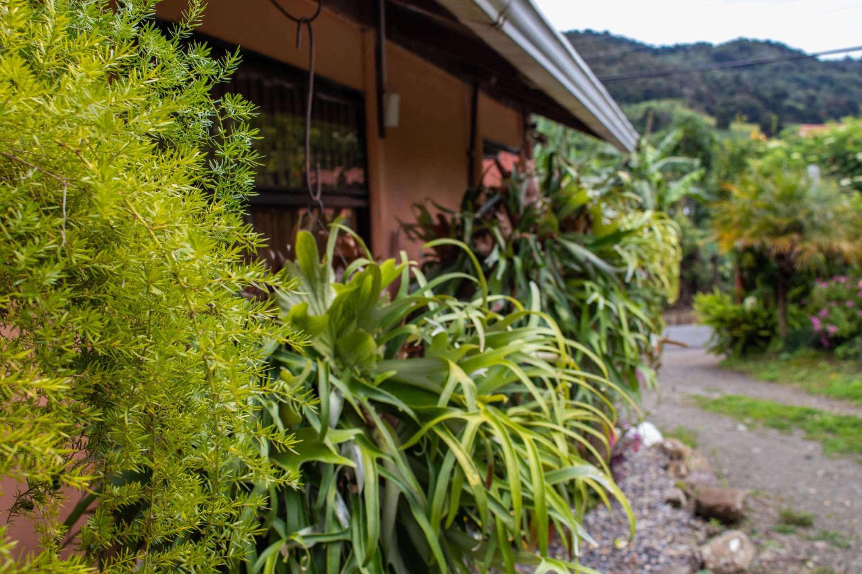 Cabinas las Manzanas Bed y Breakfast
