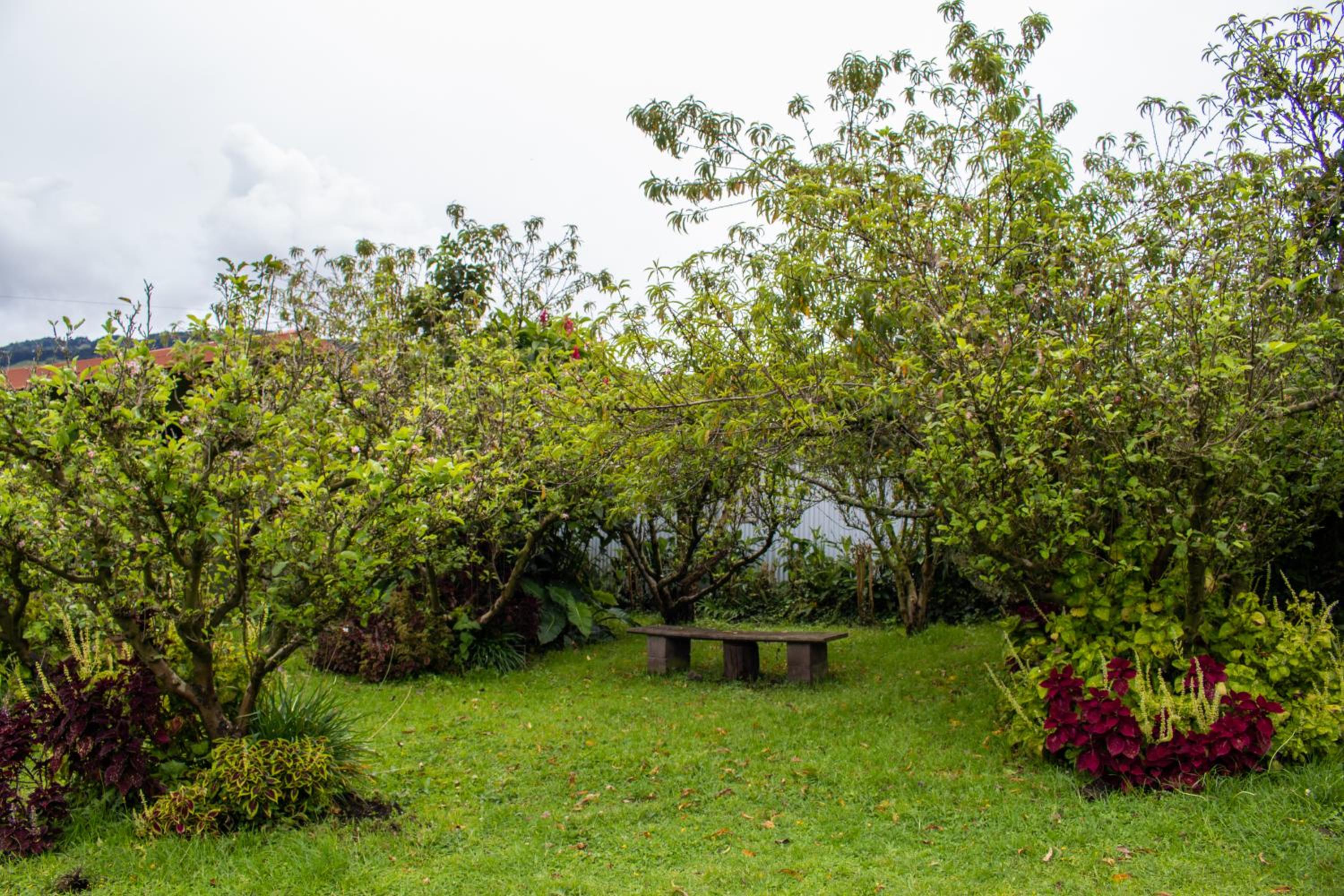 Cabinas las Manzanas Bed y Breakfast