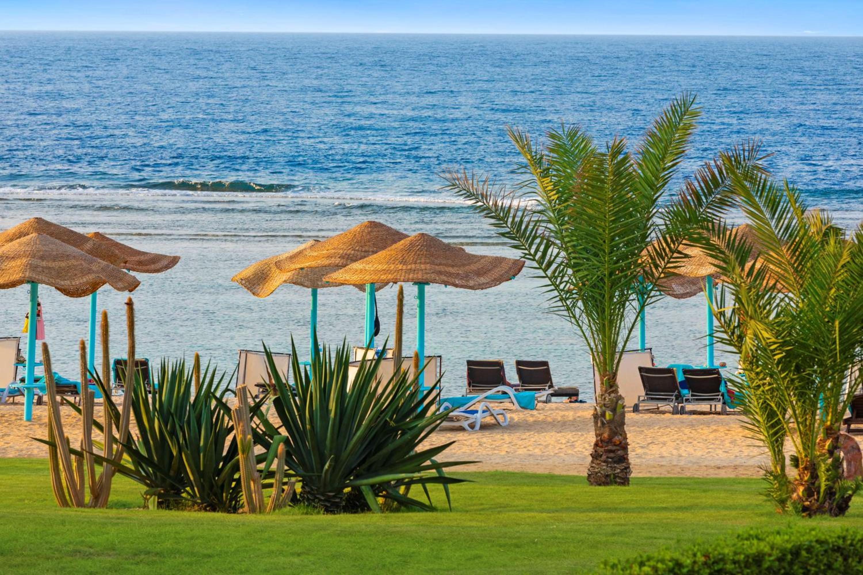Swissotel Resort El Quseir — photo 66