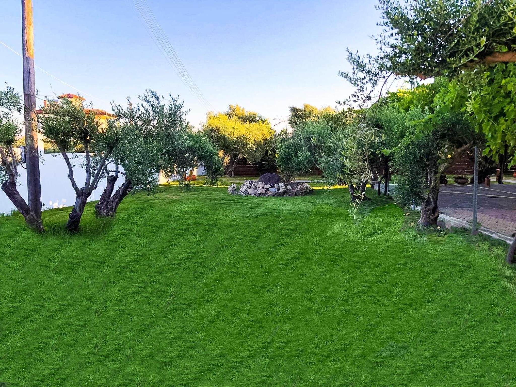 Oliviera - House in Nature