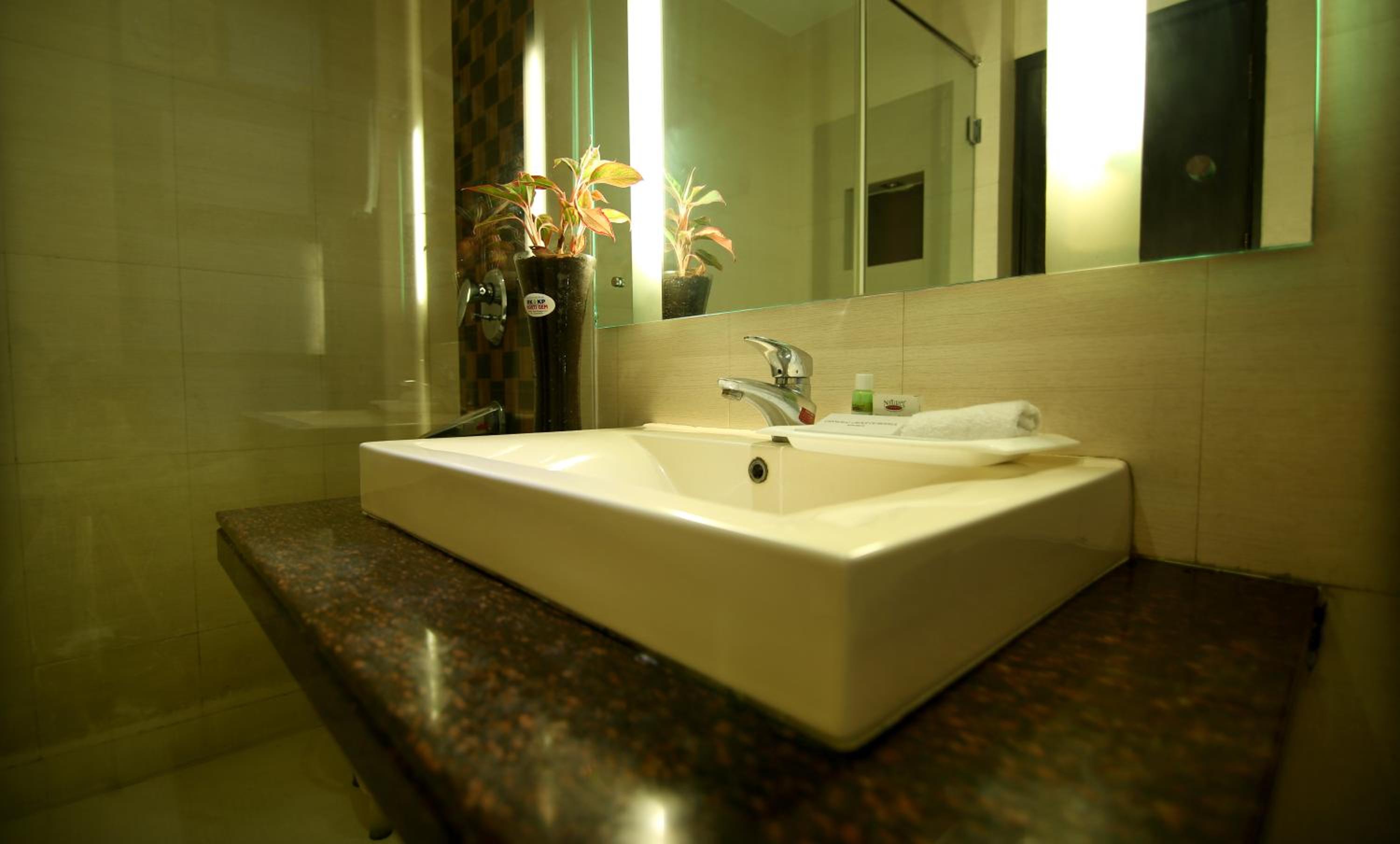 Hotel The Prime Balaji Deluxe, City Centre, With Free Airport Pickup - Image 4