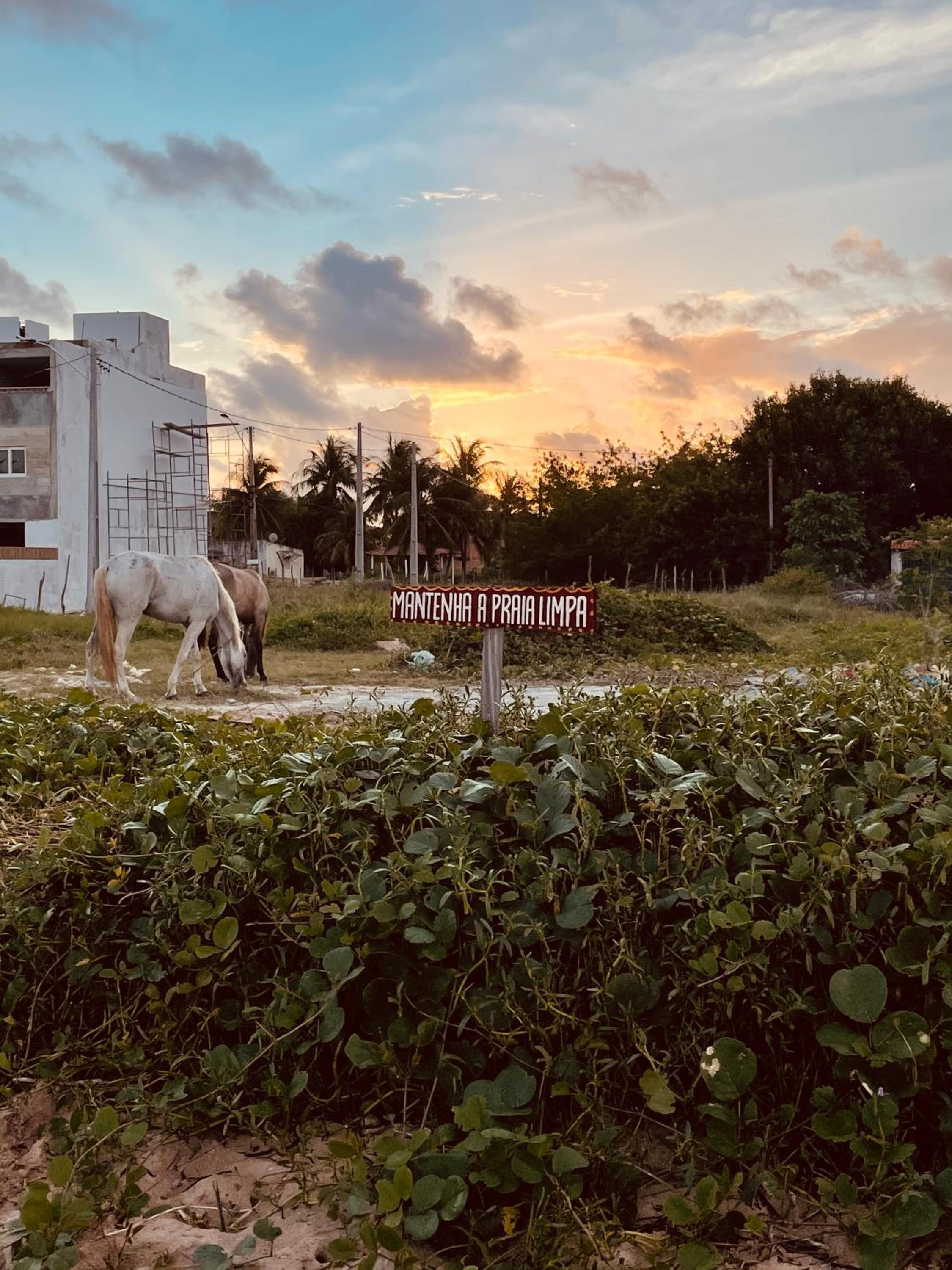 Housi, condo beira mar em Milagres