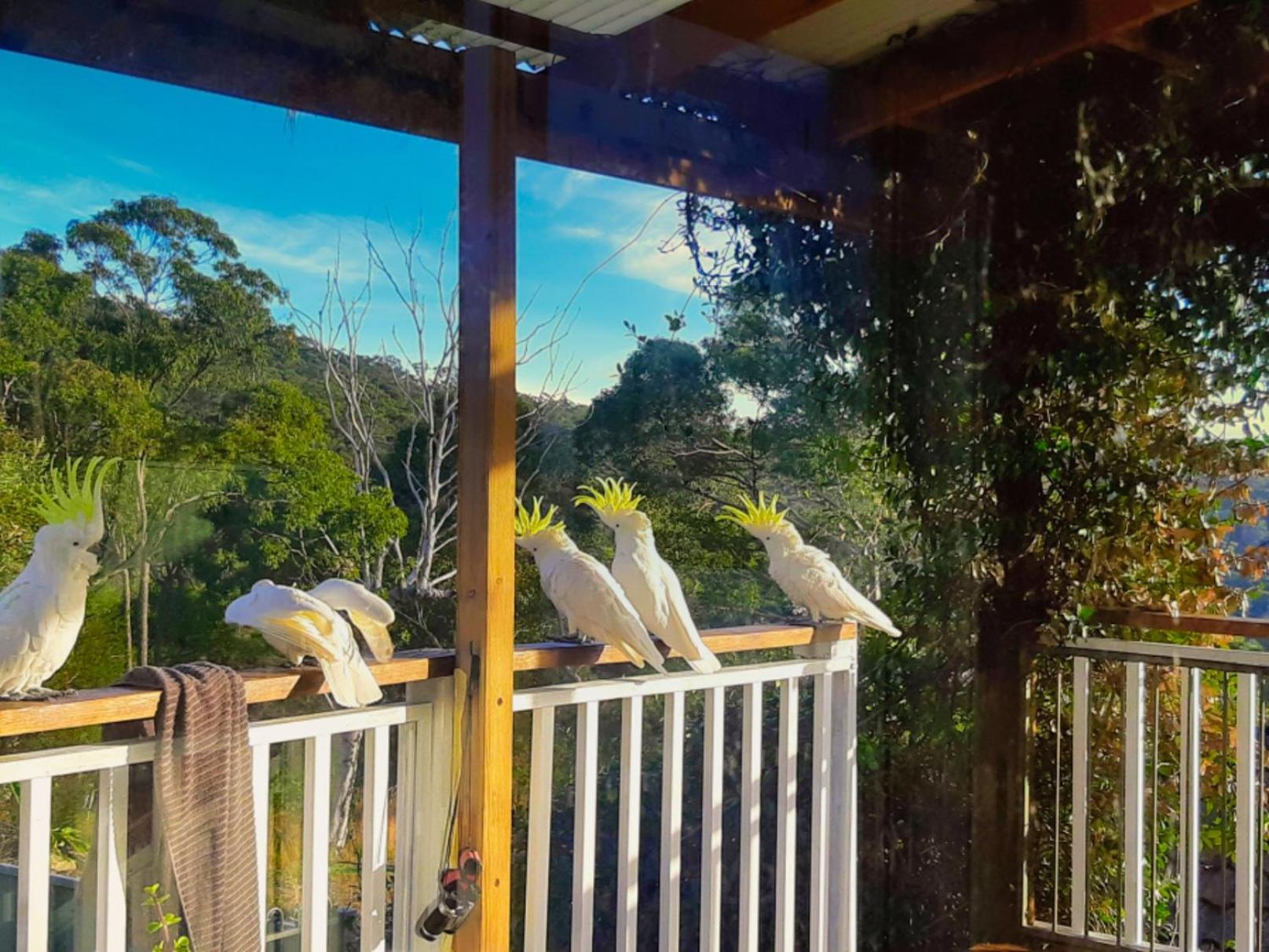 Central Coast Getaway 4B Family Holiday Home