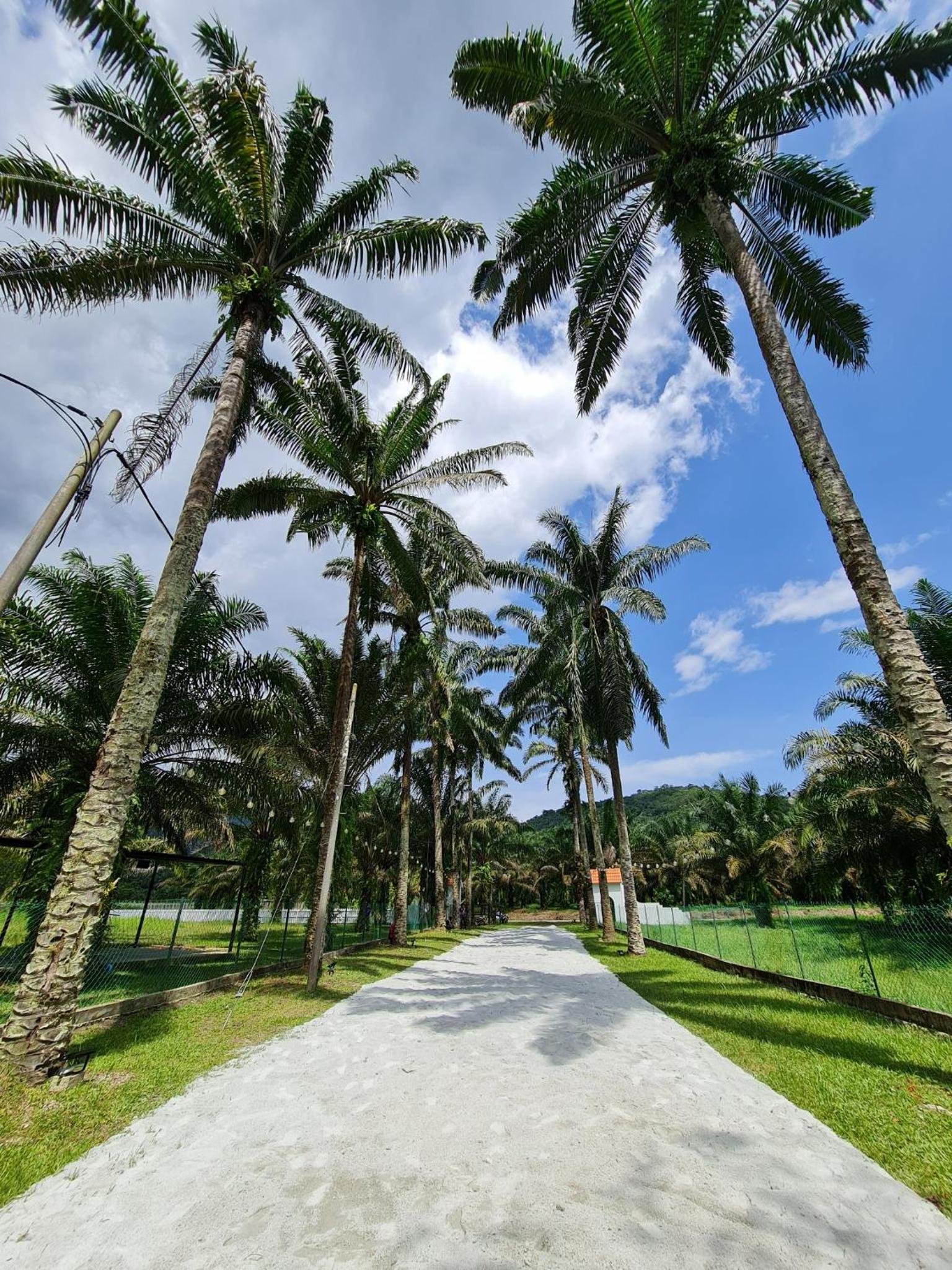 Holistay Forest Villa I 34 Pax I Gathering I Team Building I Wedding photo 3