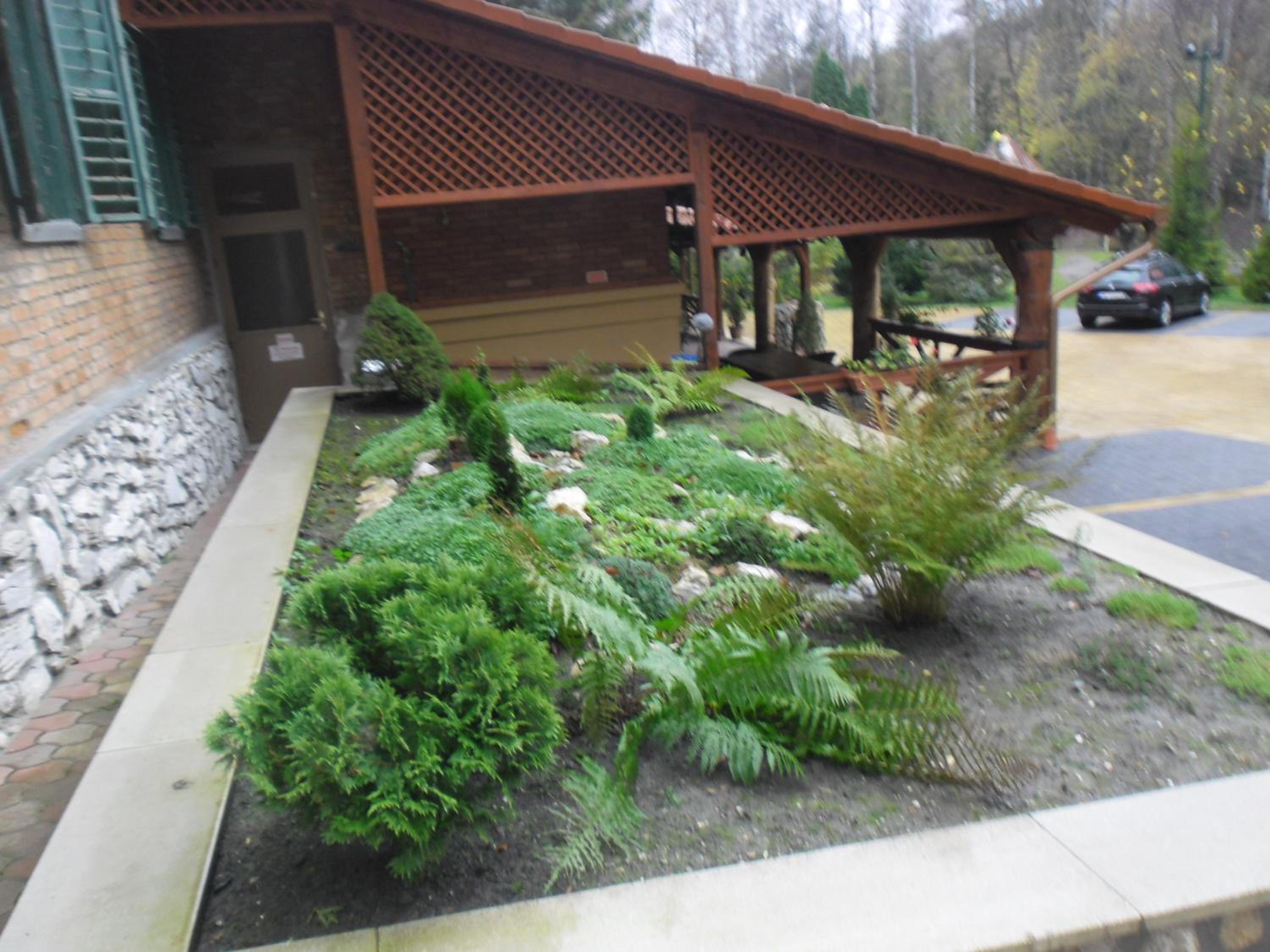 Photo 11