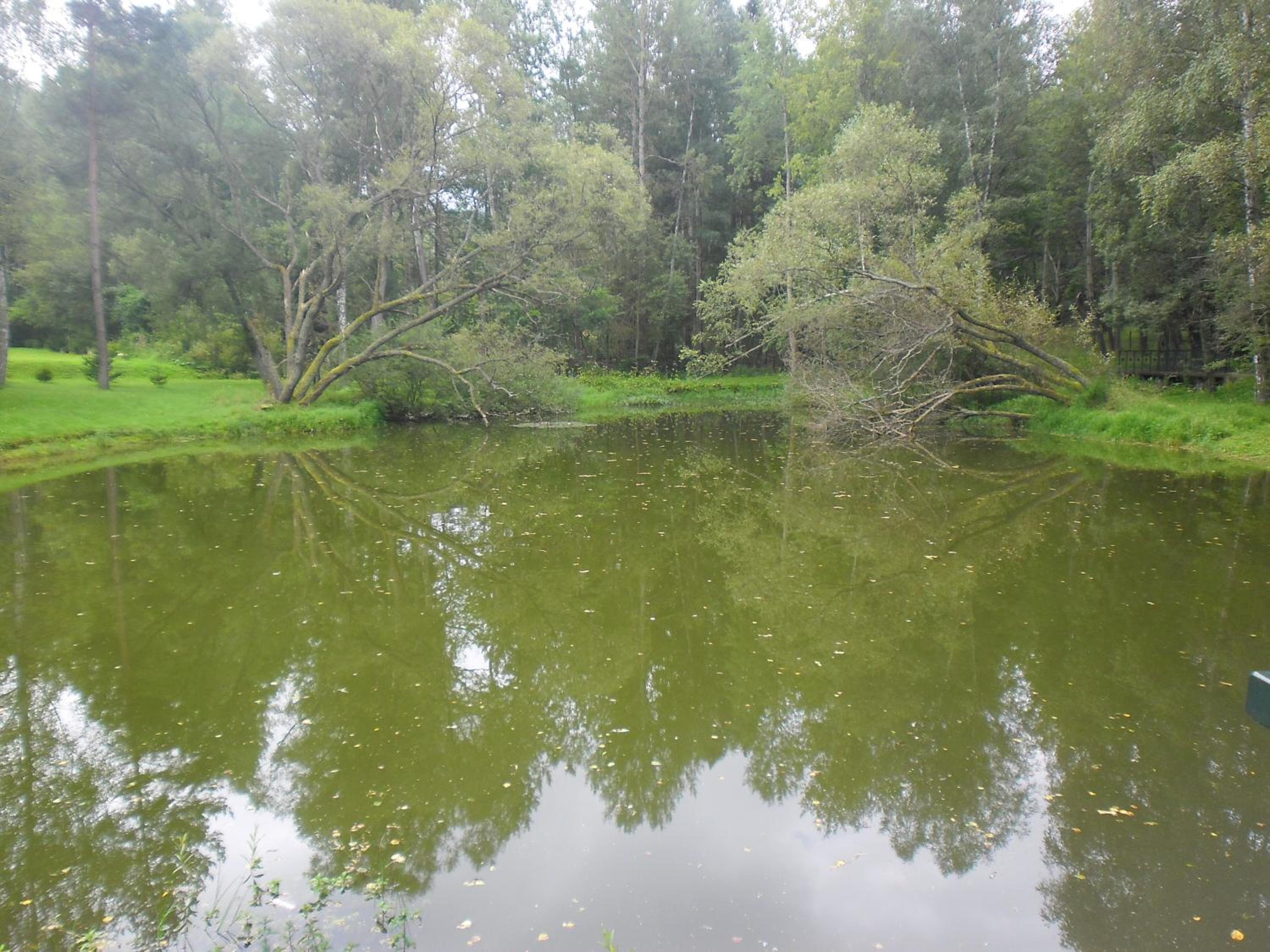 Photo 23