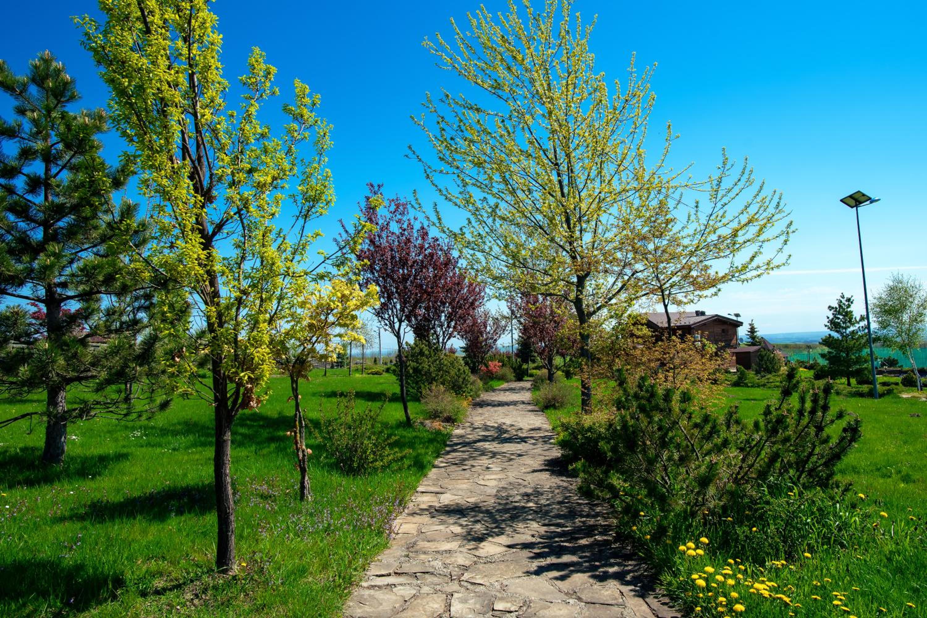 Sat de vacanta Ciprian Porumbescu view 2