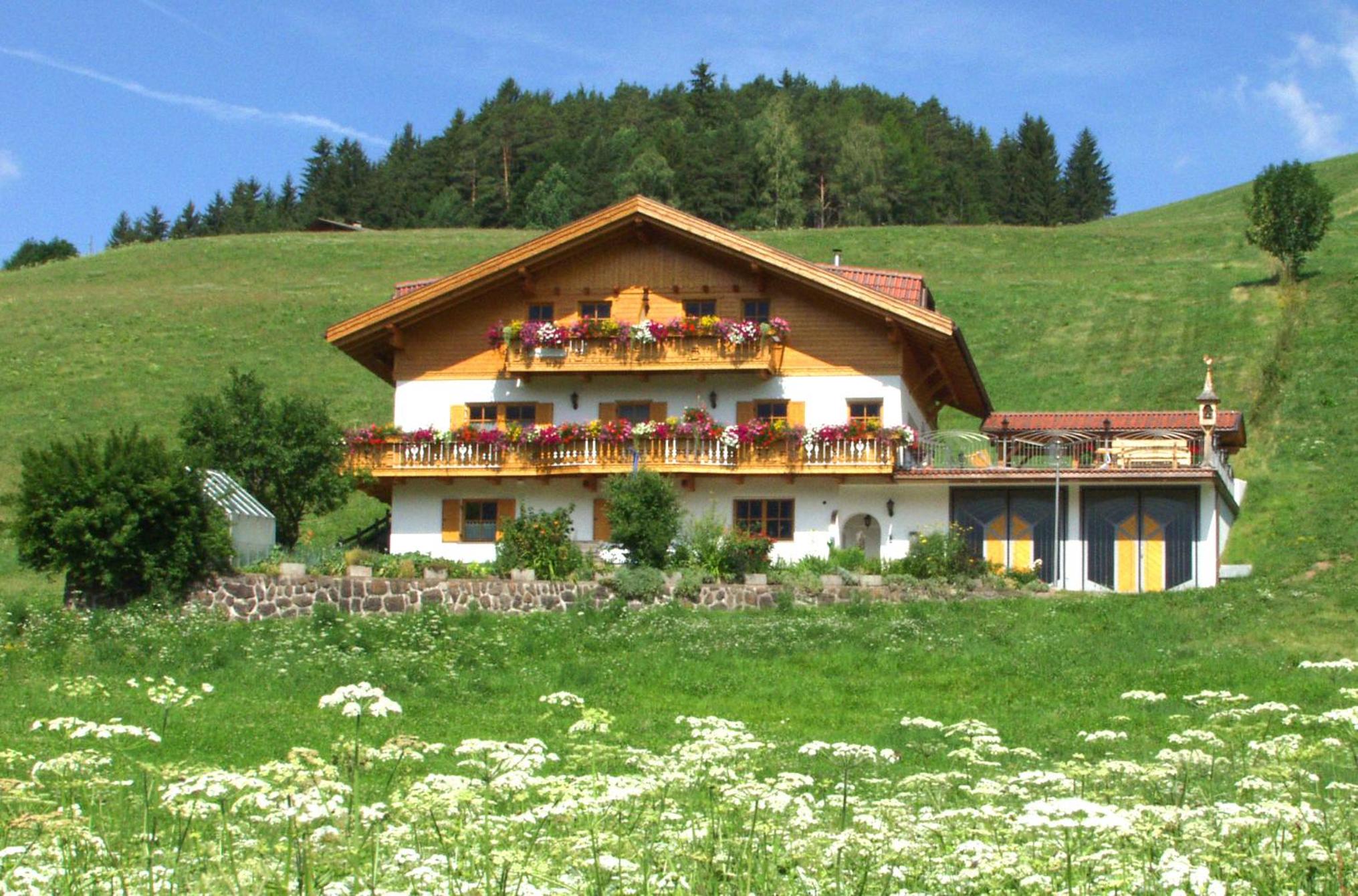 Bergblick App Fichte