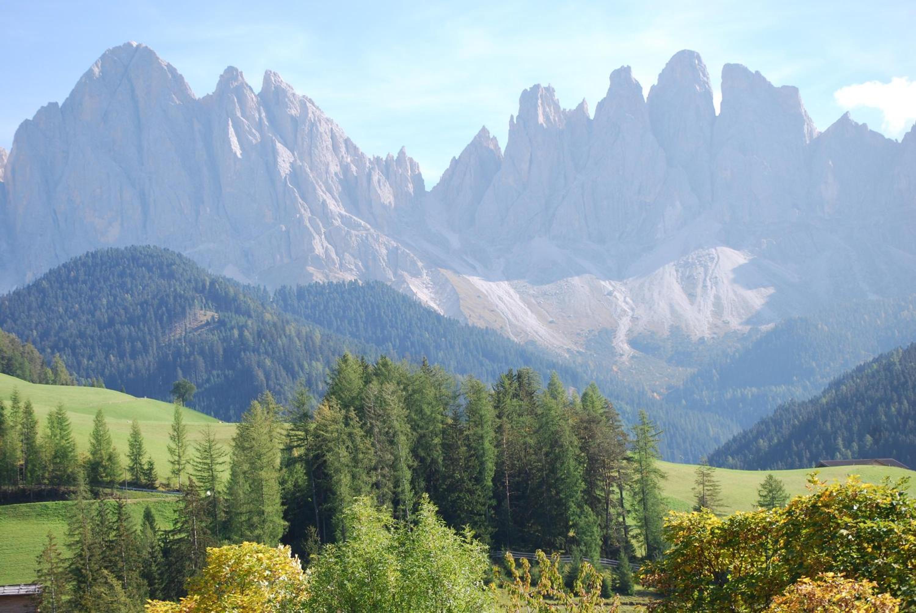 Bergblick App Fichte