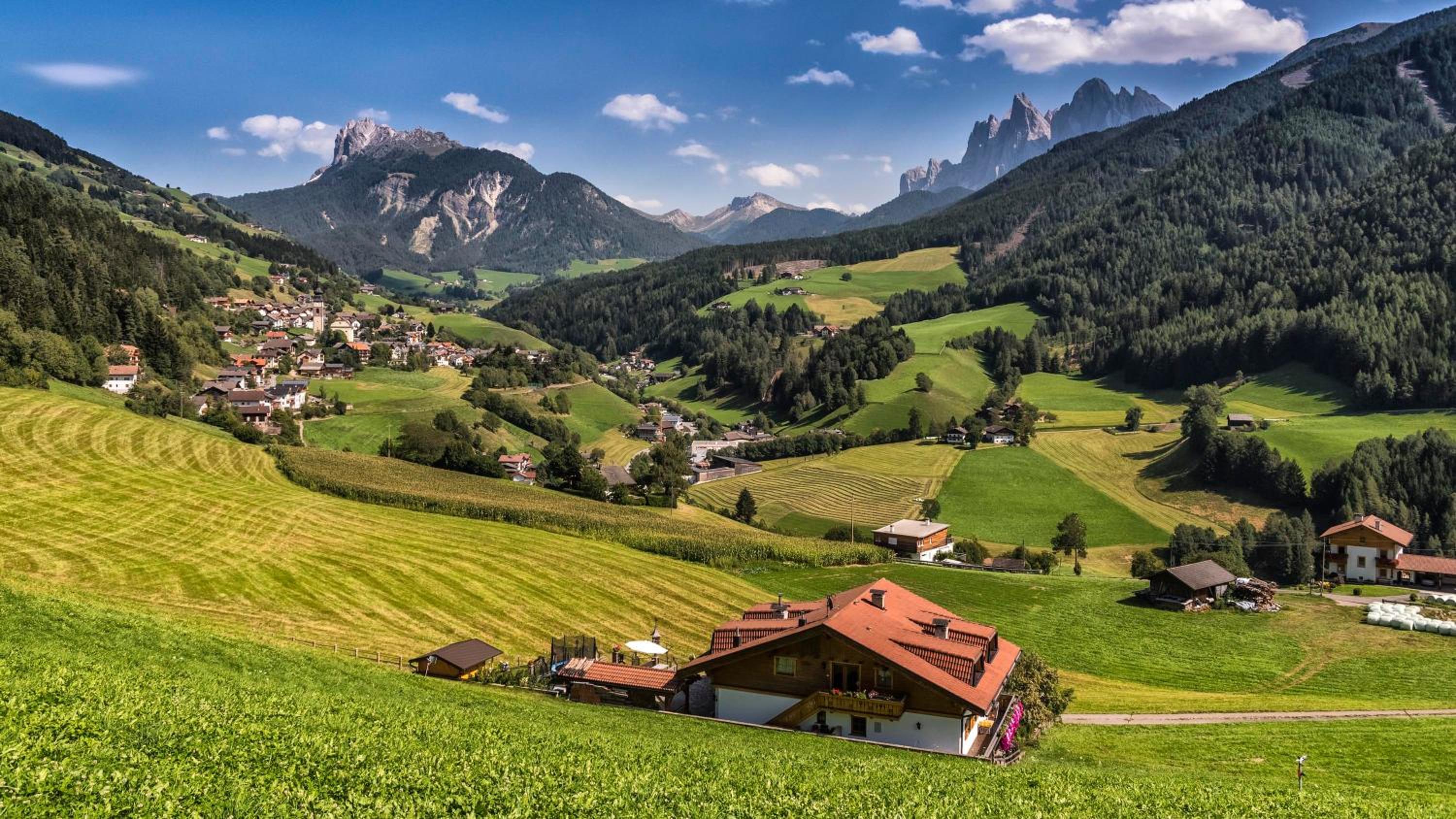 Bergblick App Fichte