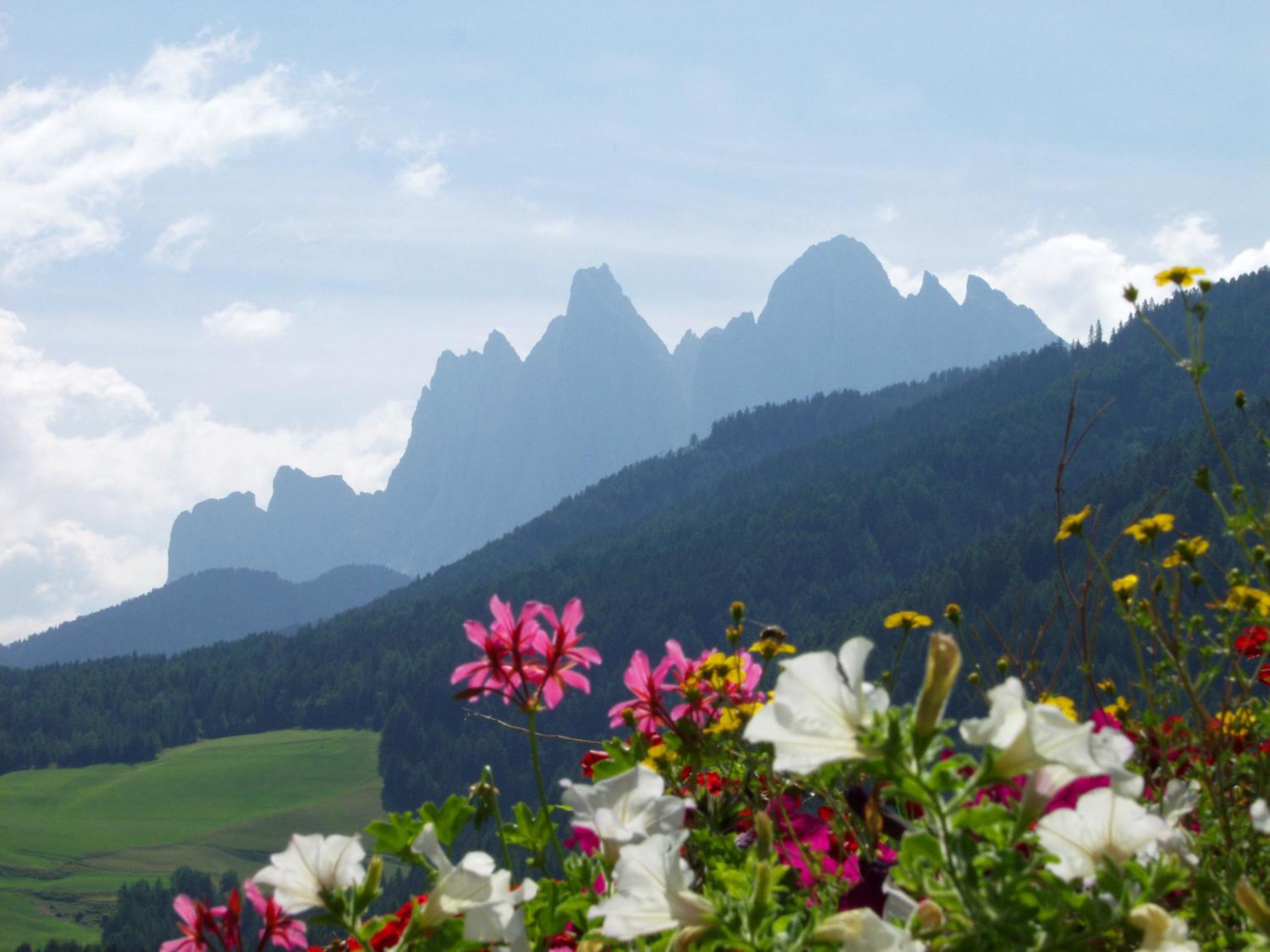 Bergblick App Fichte