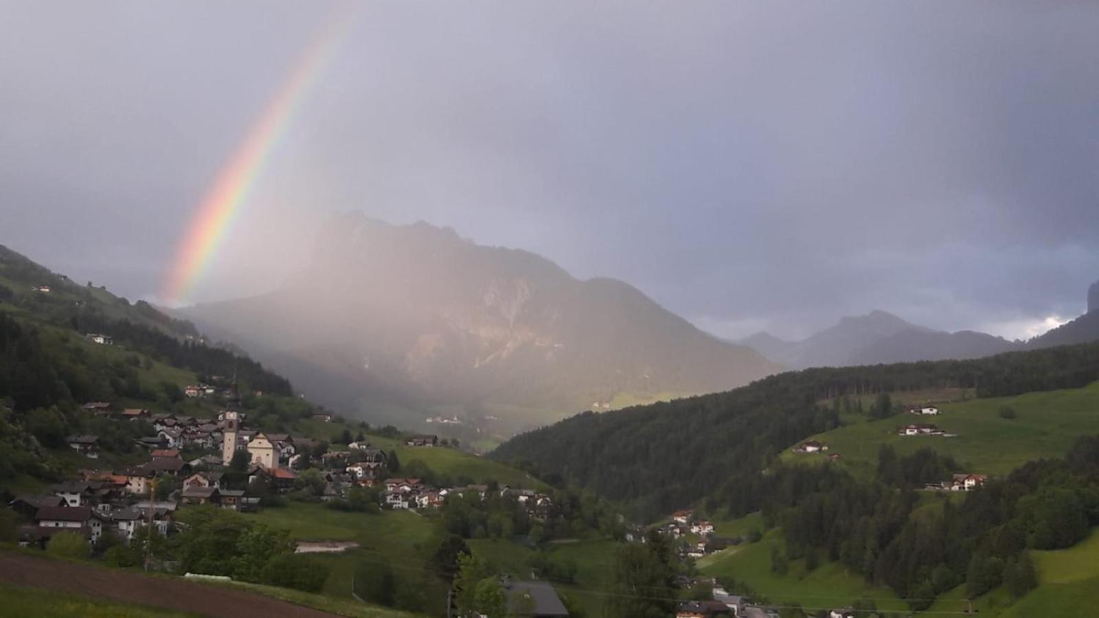 Bergblick App Fichte