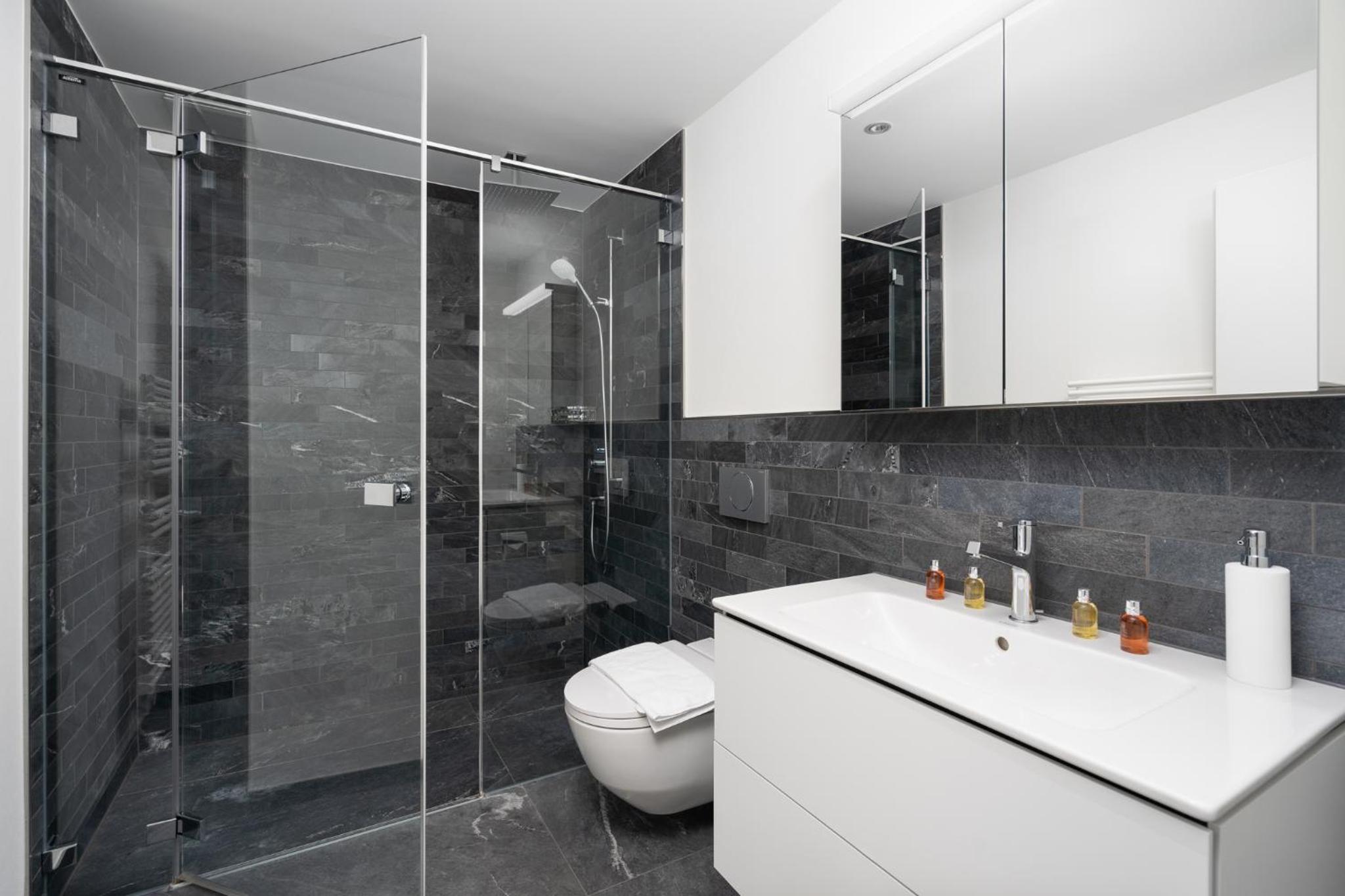 Swiss Hotel Apartments - Interlaken — photo 103