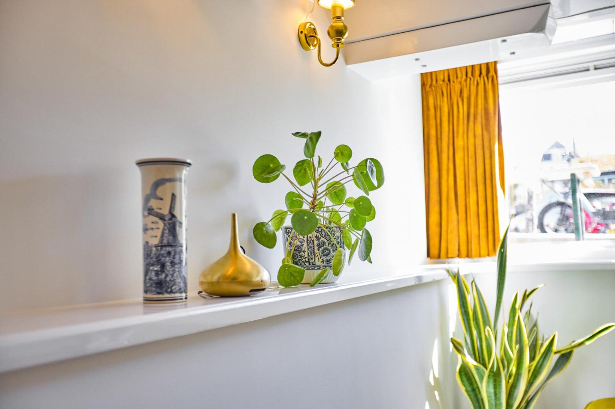 Van Gogh Studio