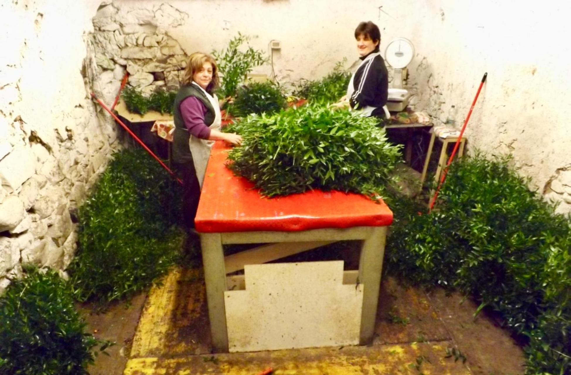 Photo 45