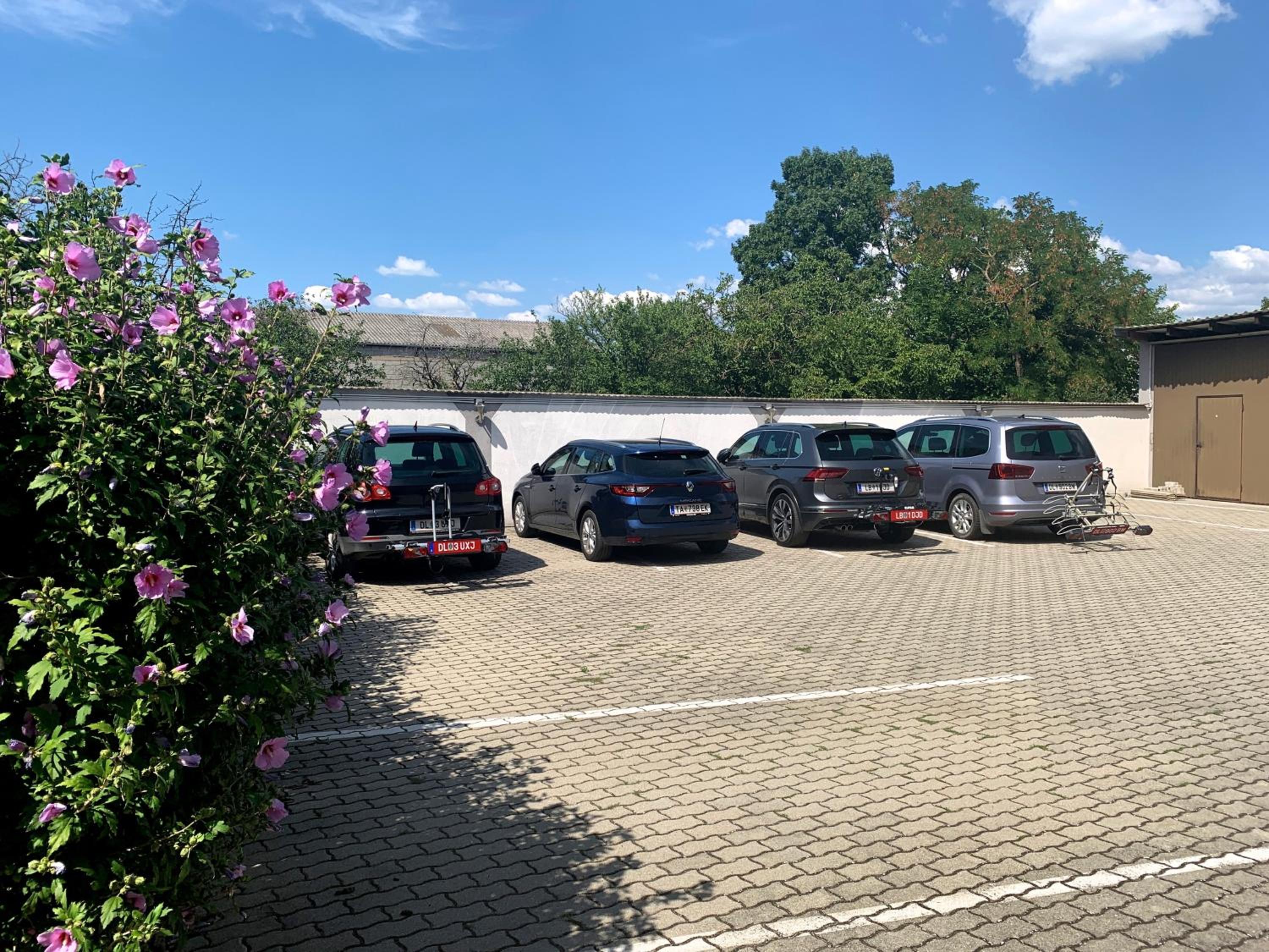 Apetlon`er Familie Böhm