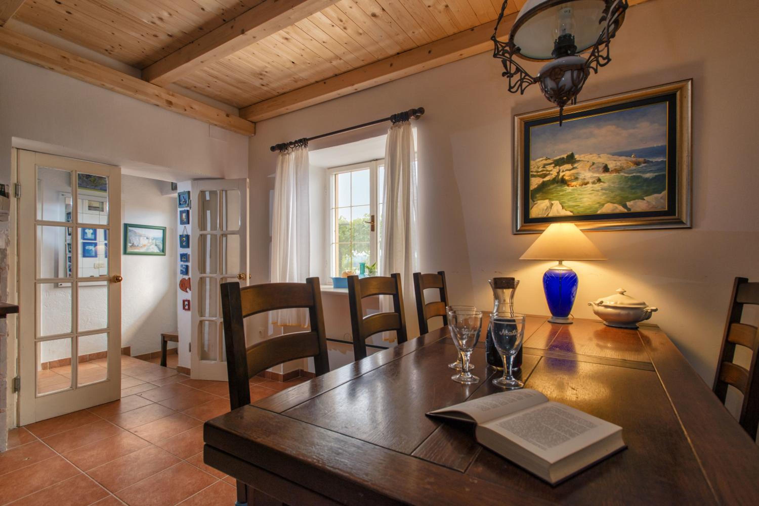 Villa Cincilograd view 5