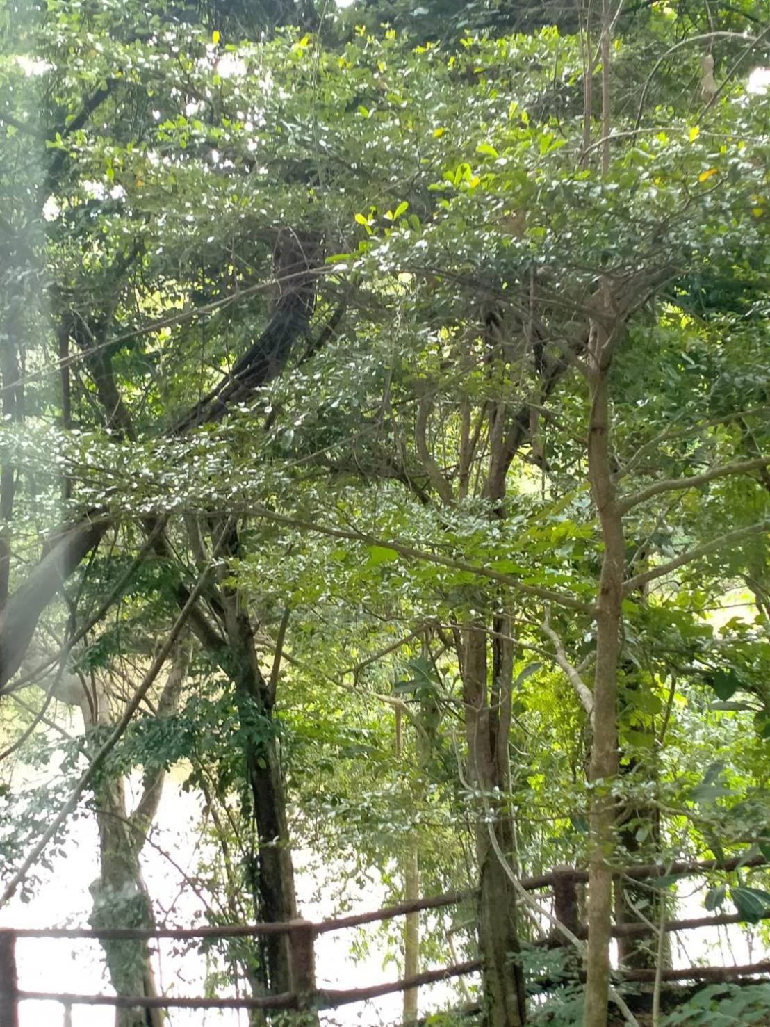 Saiyok River House