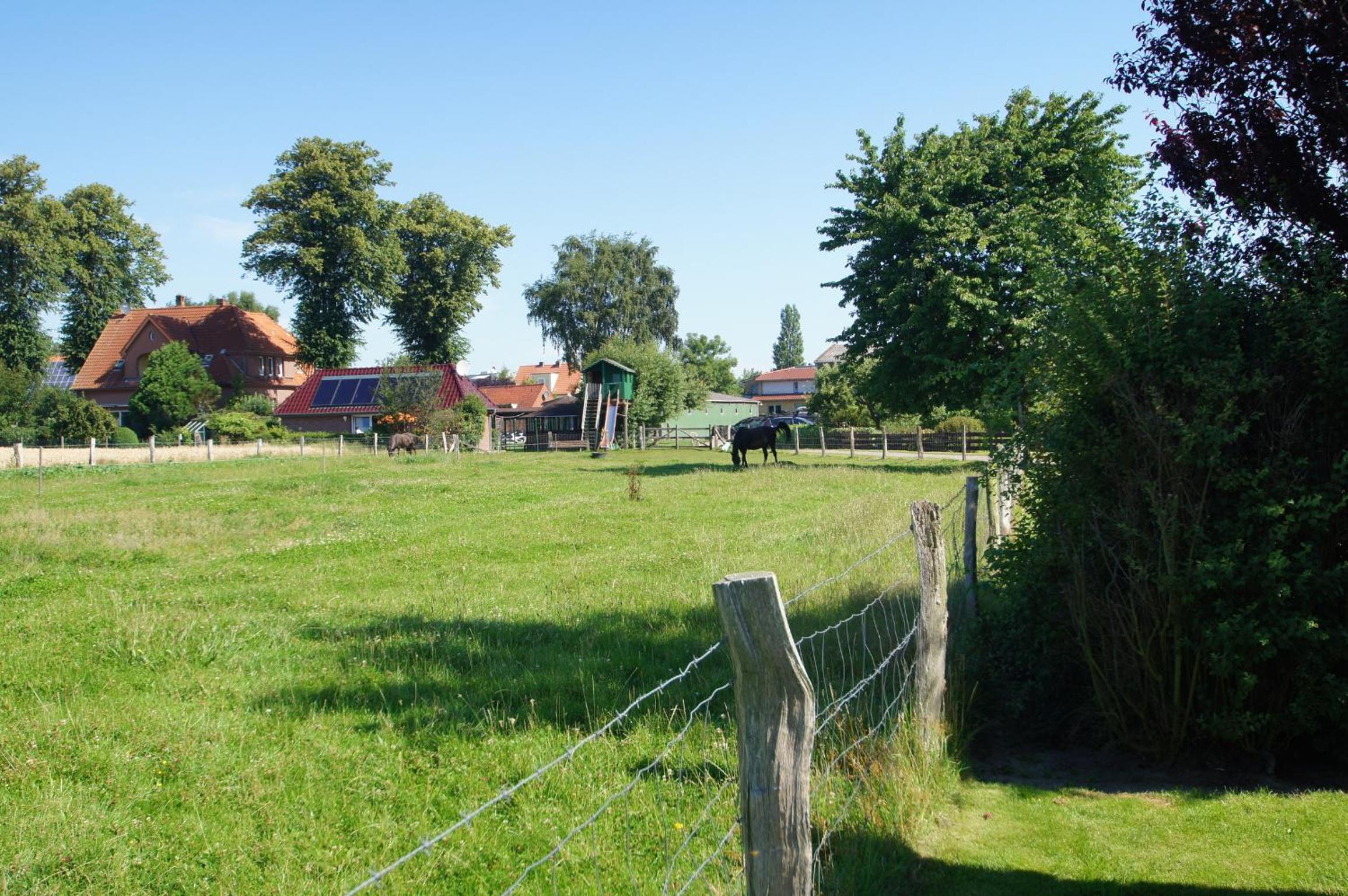 Ferienbungalow 5