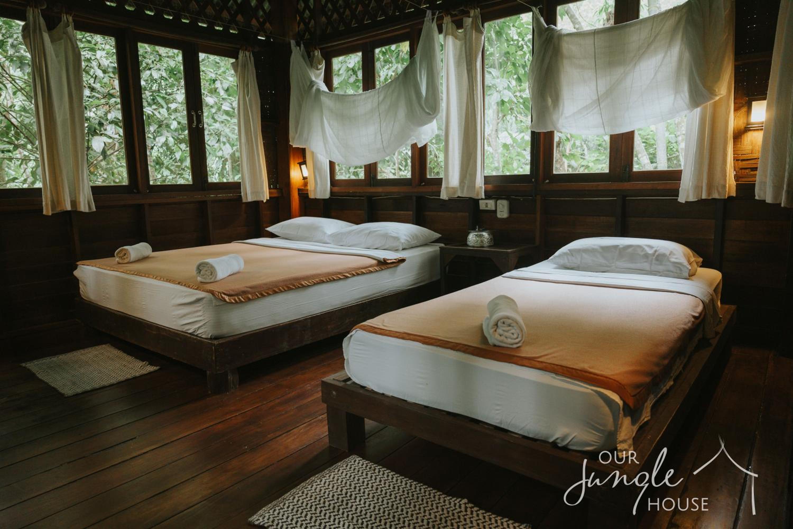 Our Jungle House