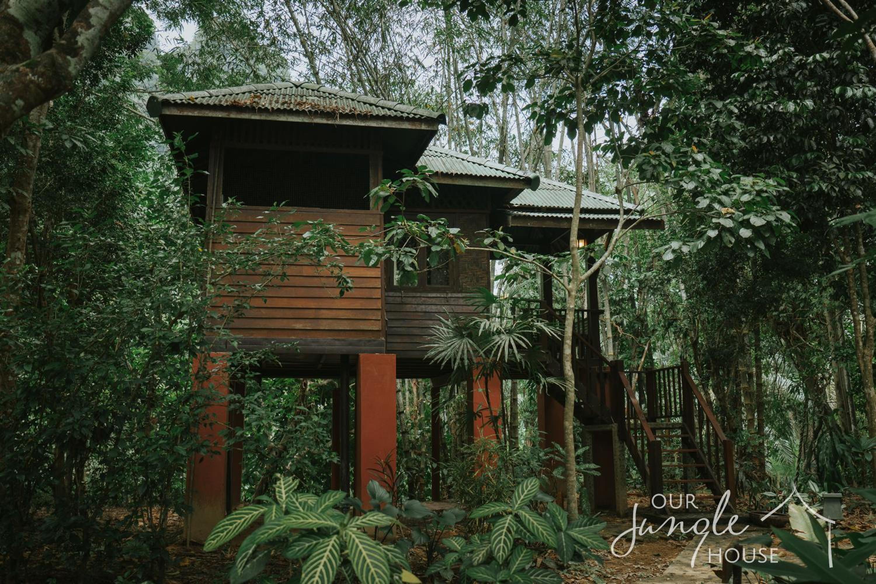 Our Jungle House