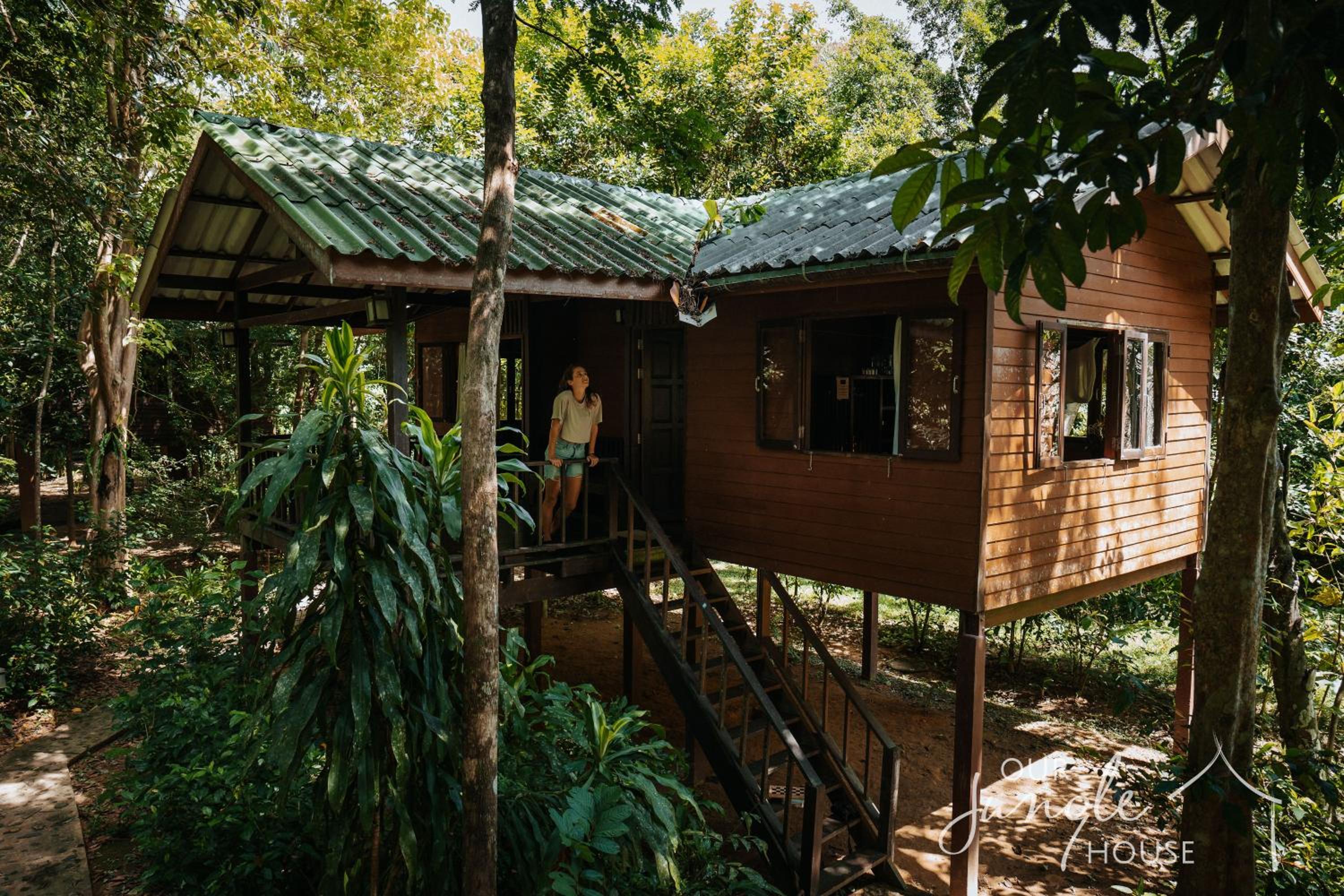 Our Jungle House