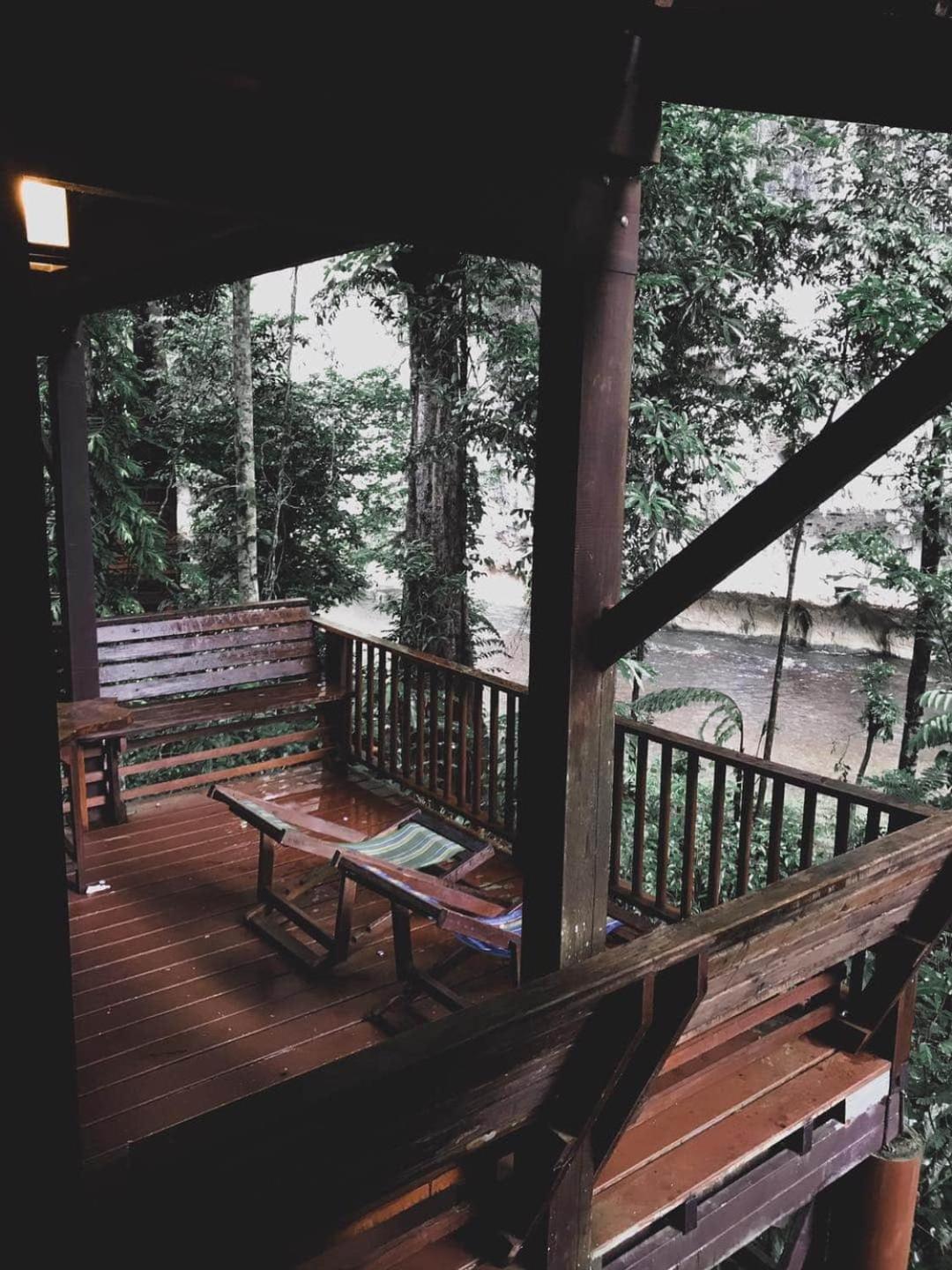Our Jungle House