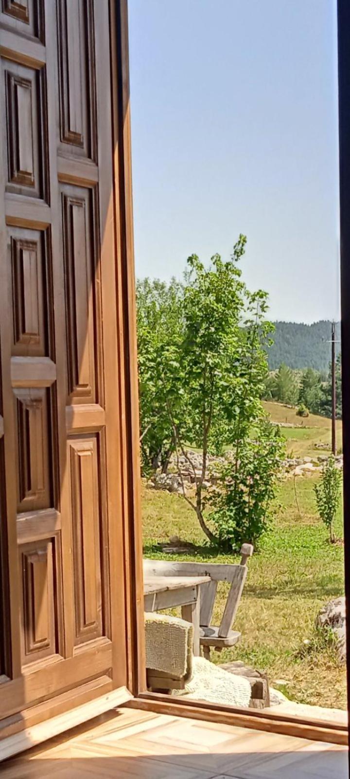 Photo 21