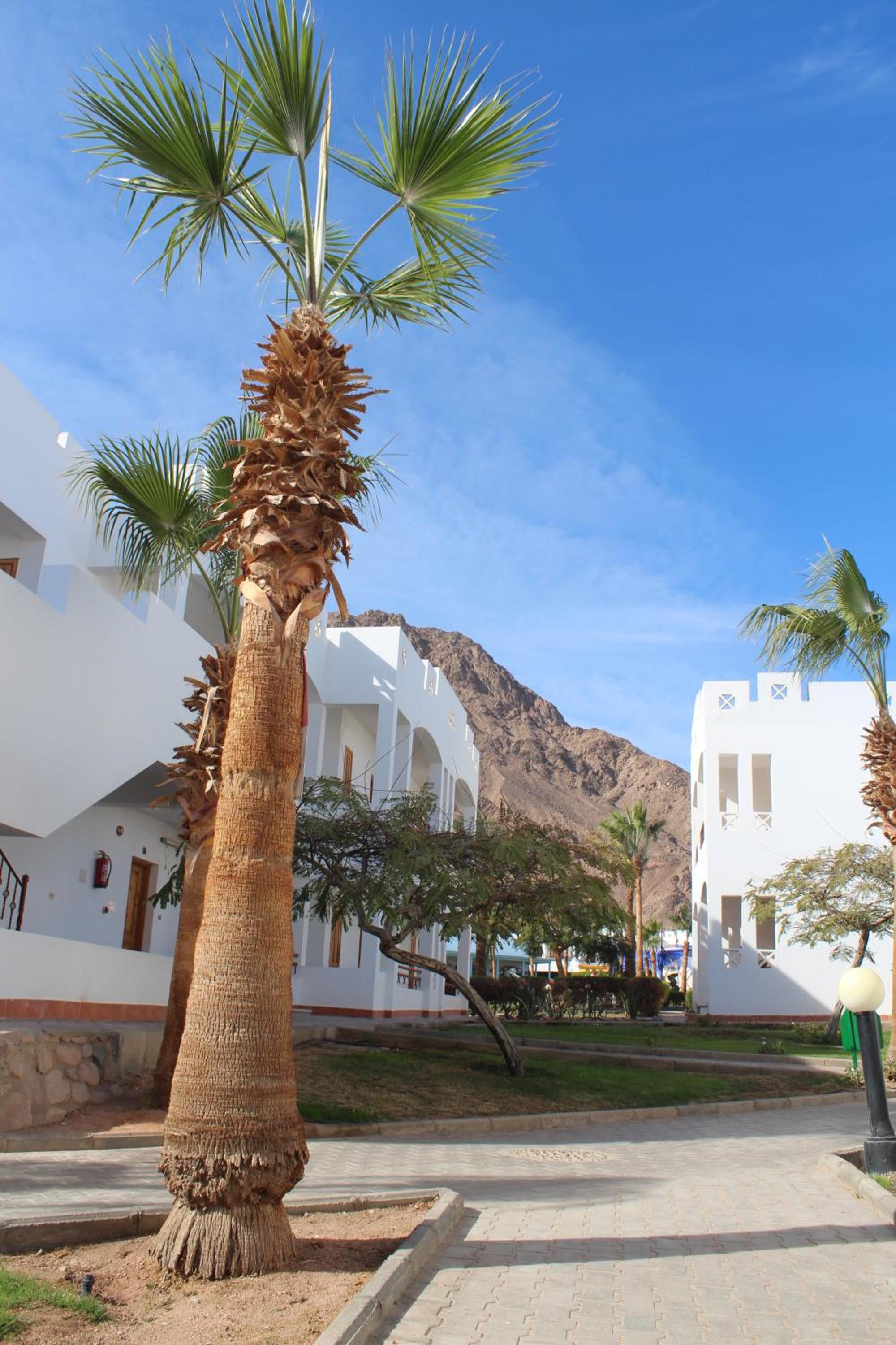 Happy Life Village Dahab
