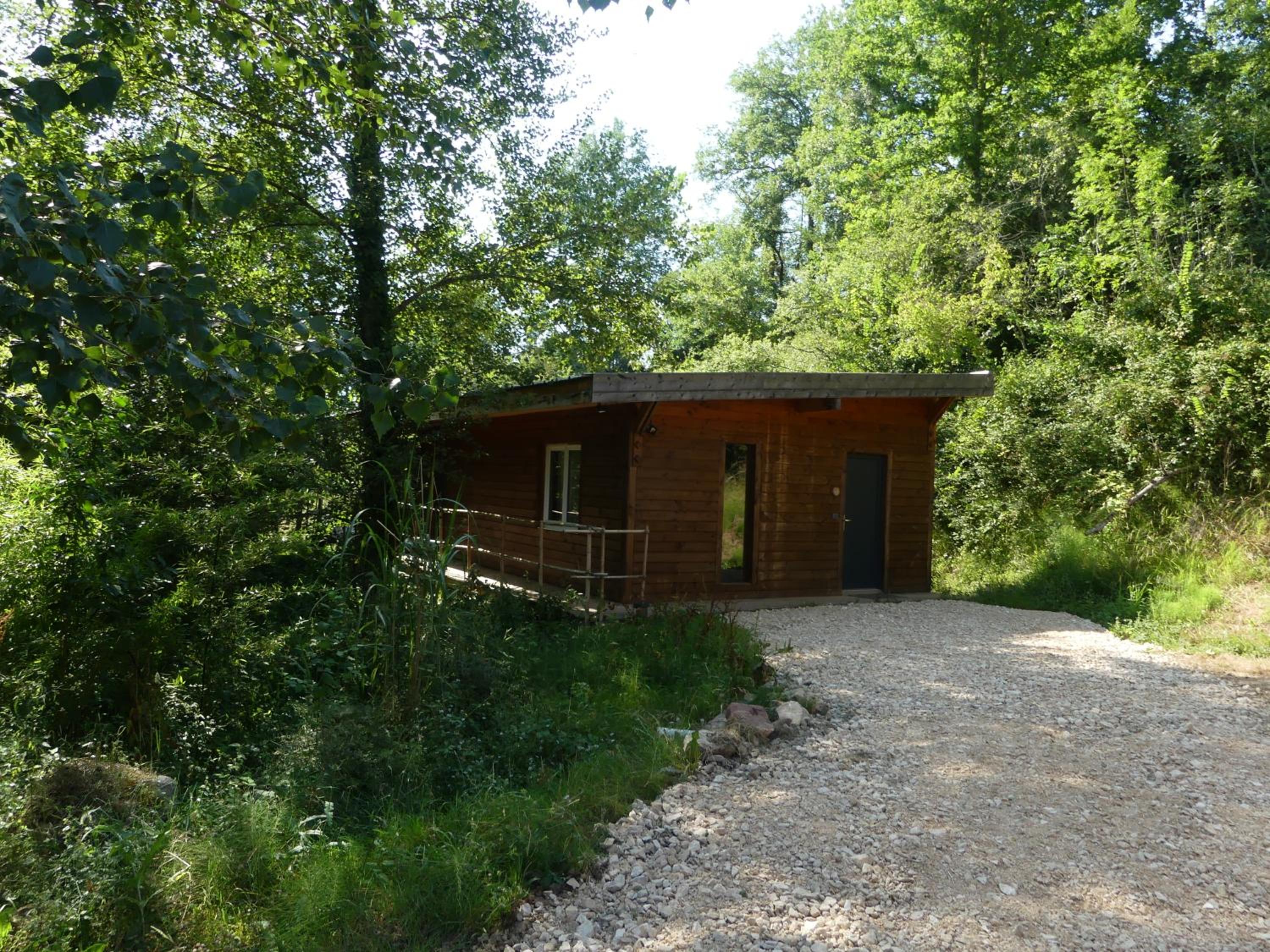 Photo 7
