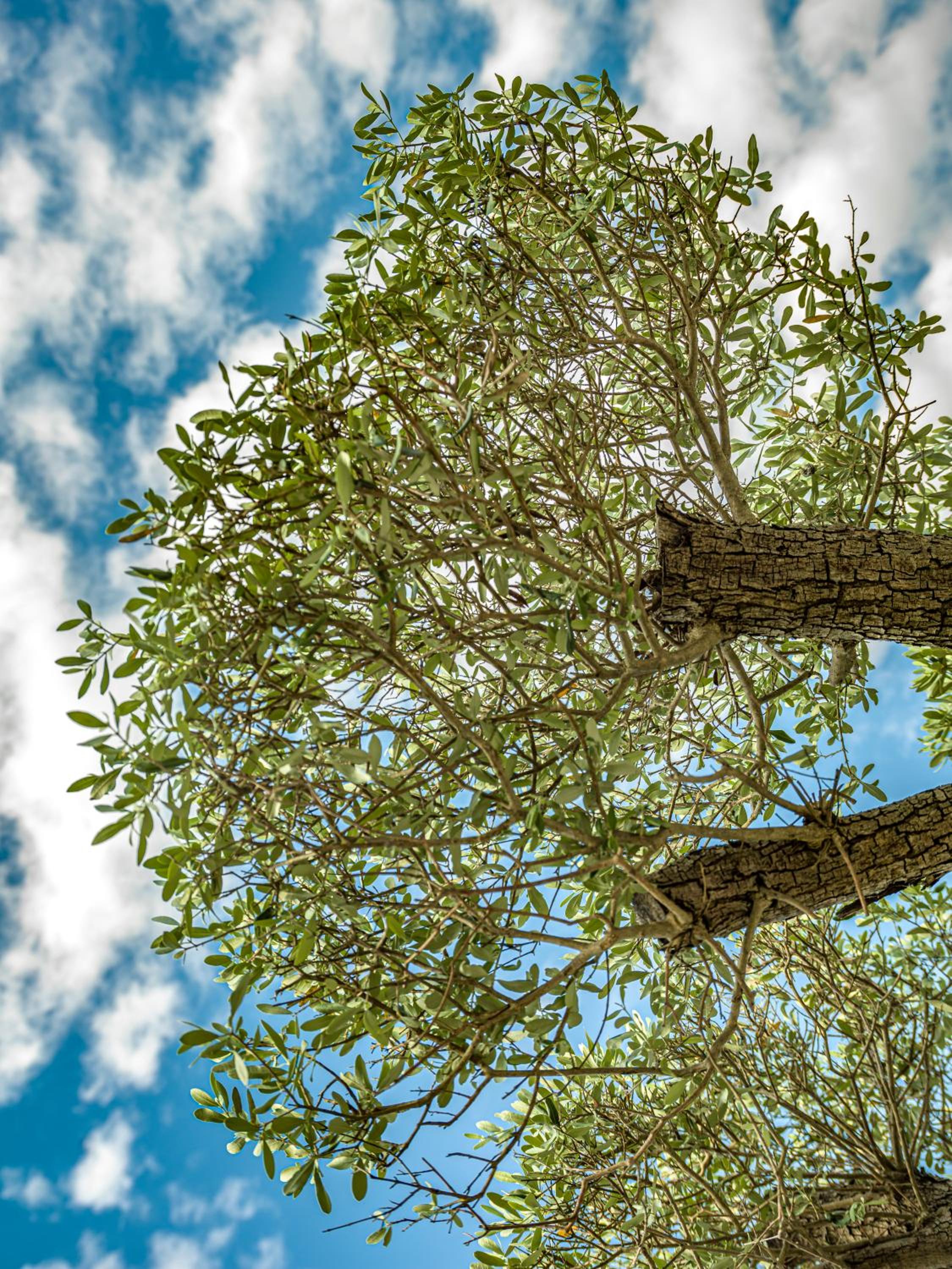 MENALO PREMIUM İSTANBUL HAVAALANI OTEL - Image 51