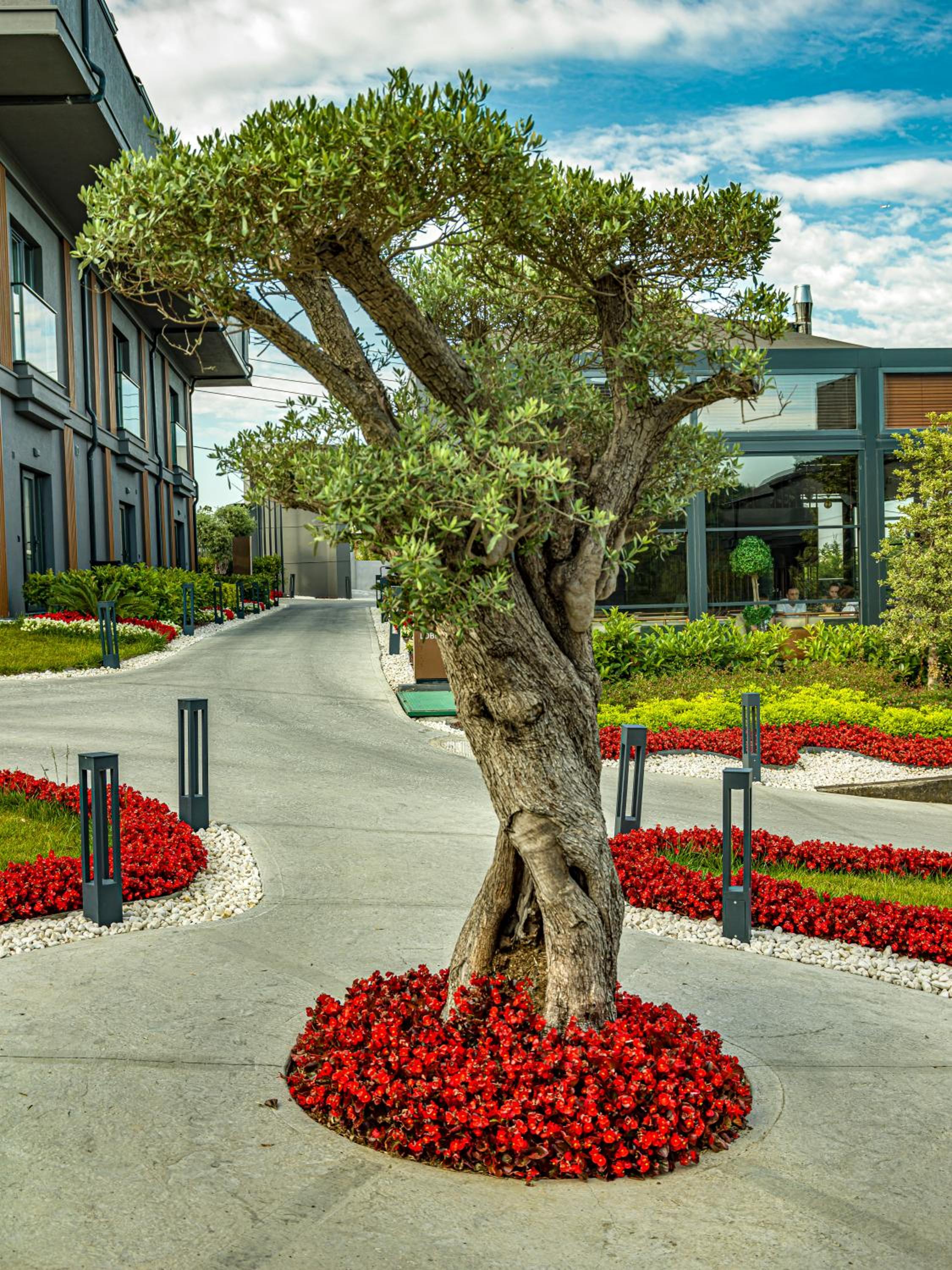 MENALO PREMIUM İSTANBUL HAVAALANI OTEL - Image 54