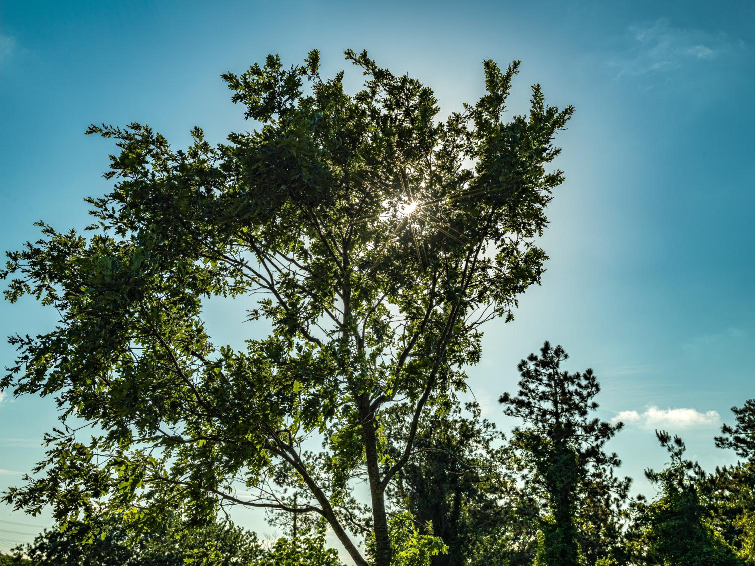 MENALO PREMIUM İSTANBUL HAVAALANI OTEL - Image 65