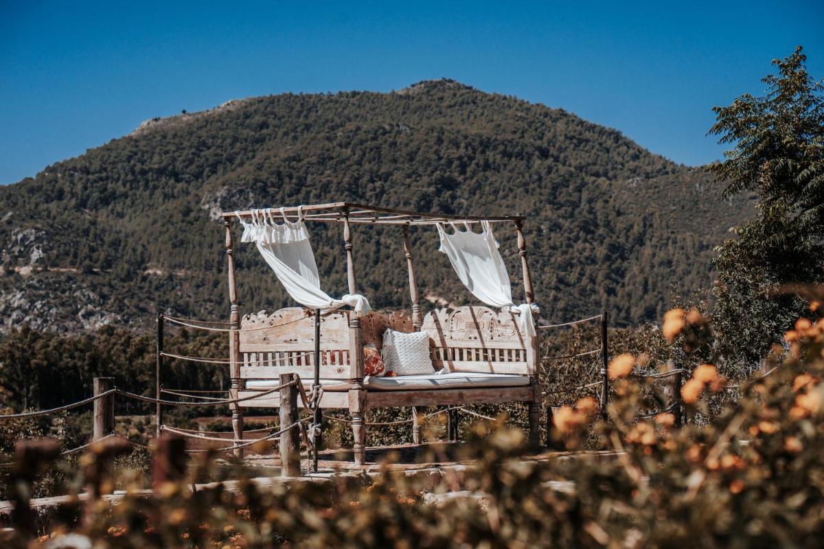 Ada Dreams Tarihi - Yetişkinlere Özel - Image 167