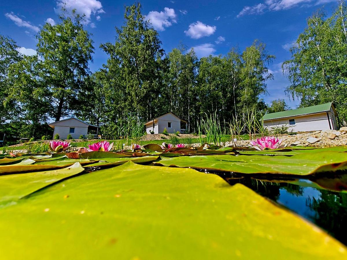 Obora resort