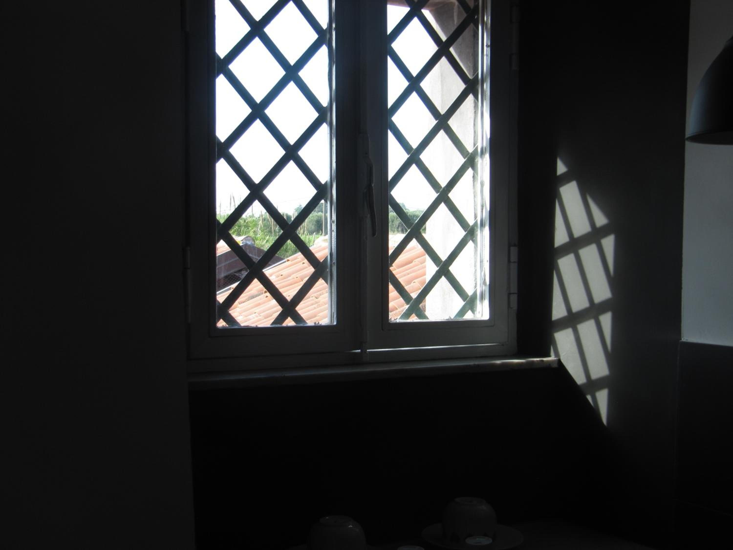 Photo 73