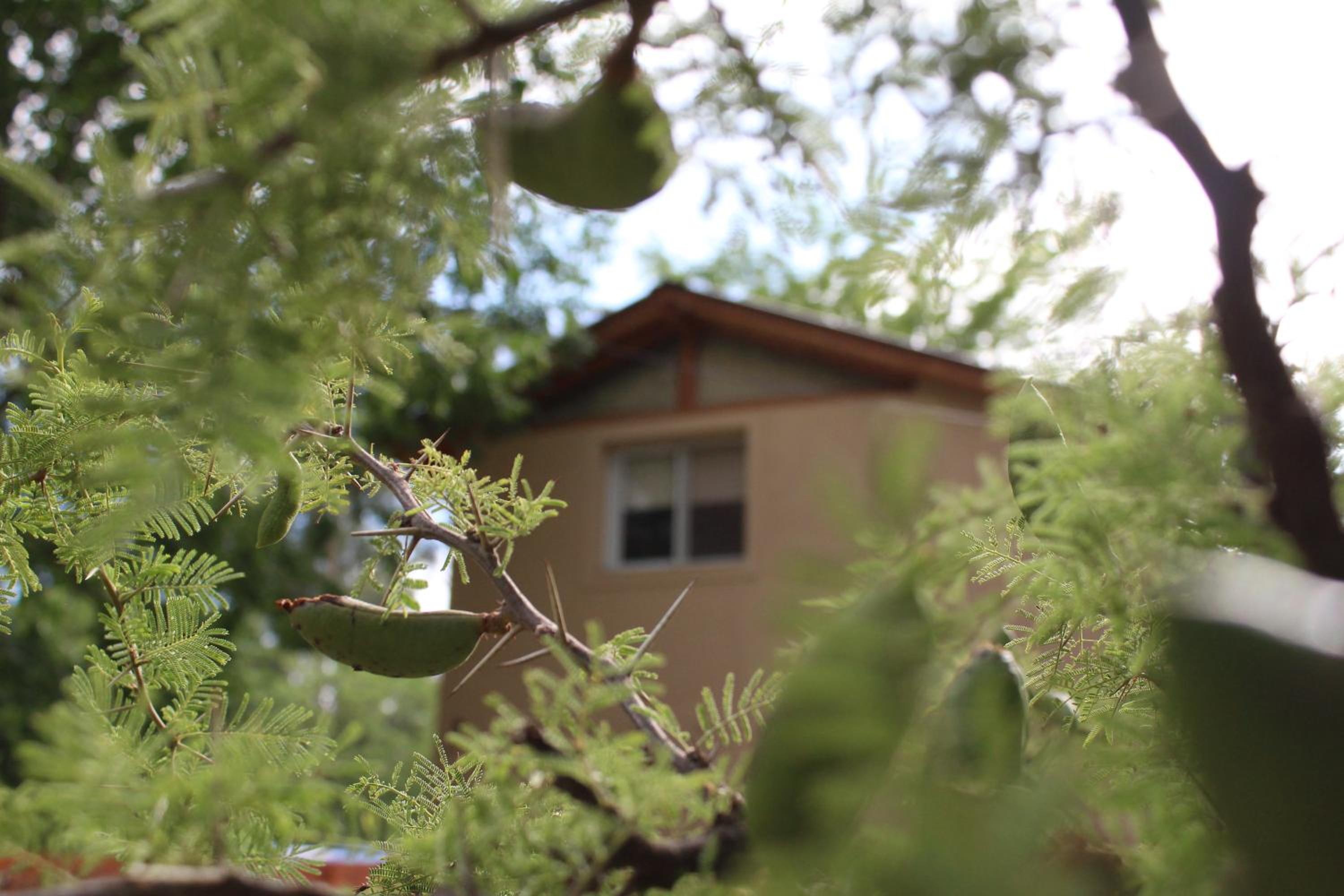 Rancho Pampa