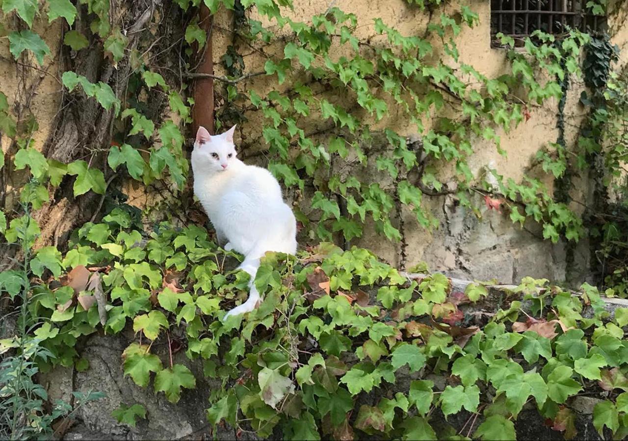 Photo 29