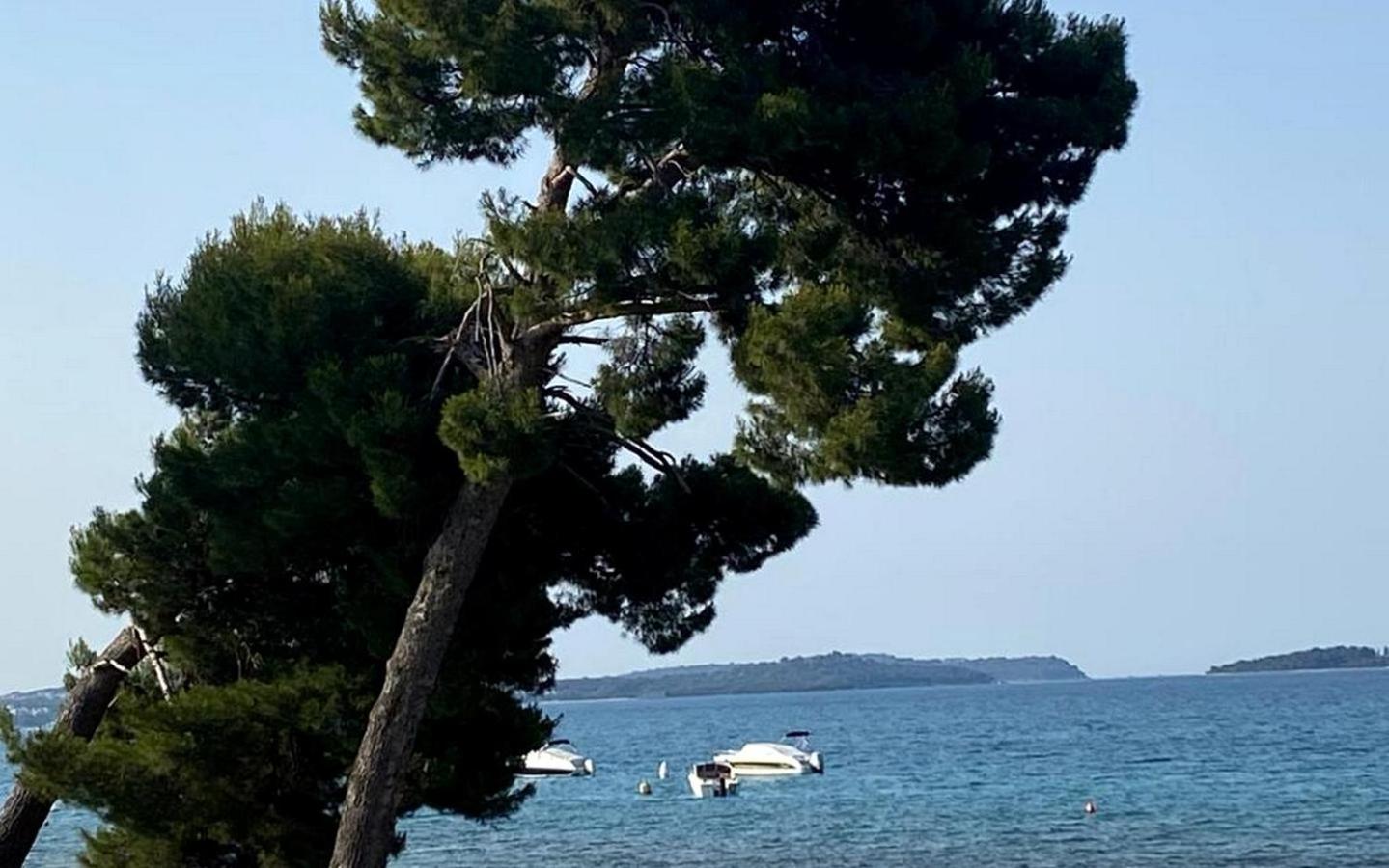 Apartments Villa Bubi