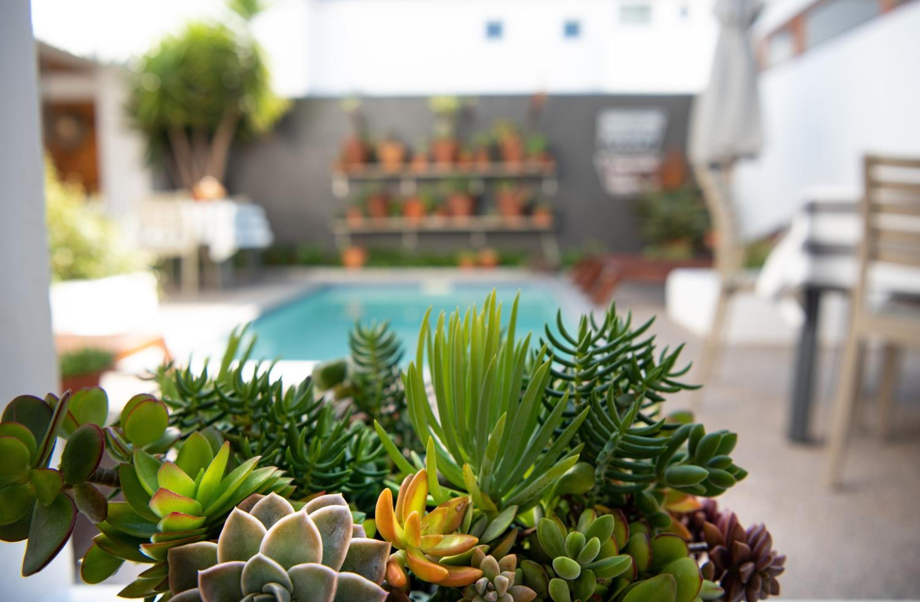 Paternoster Dunes Boutique Guesthouse