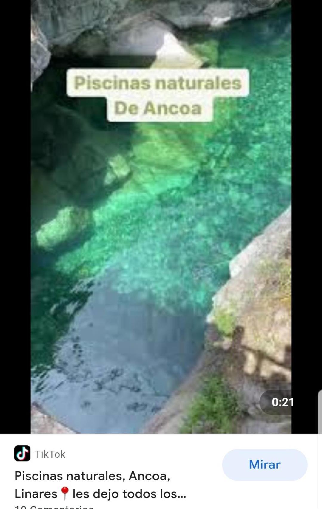 Cabañas Terra Nova Colbun Machicura