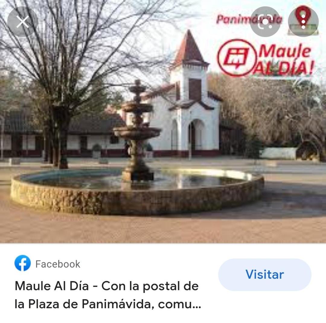 Cabañas Terra Nova Colbun Machicura