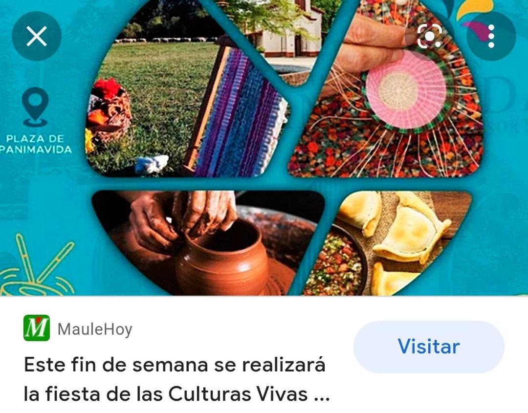 Cabañas Terra Nova Colbun Machicura