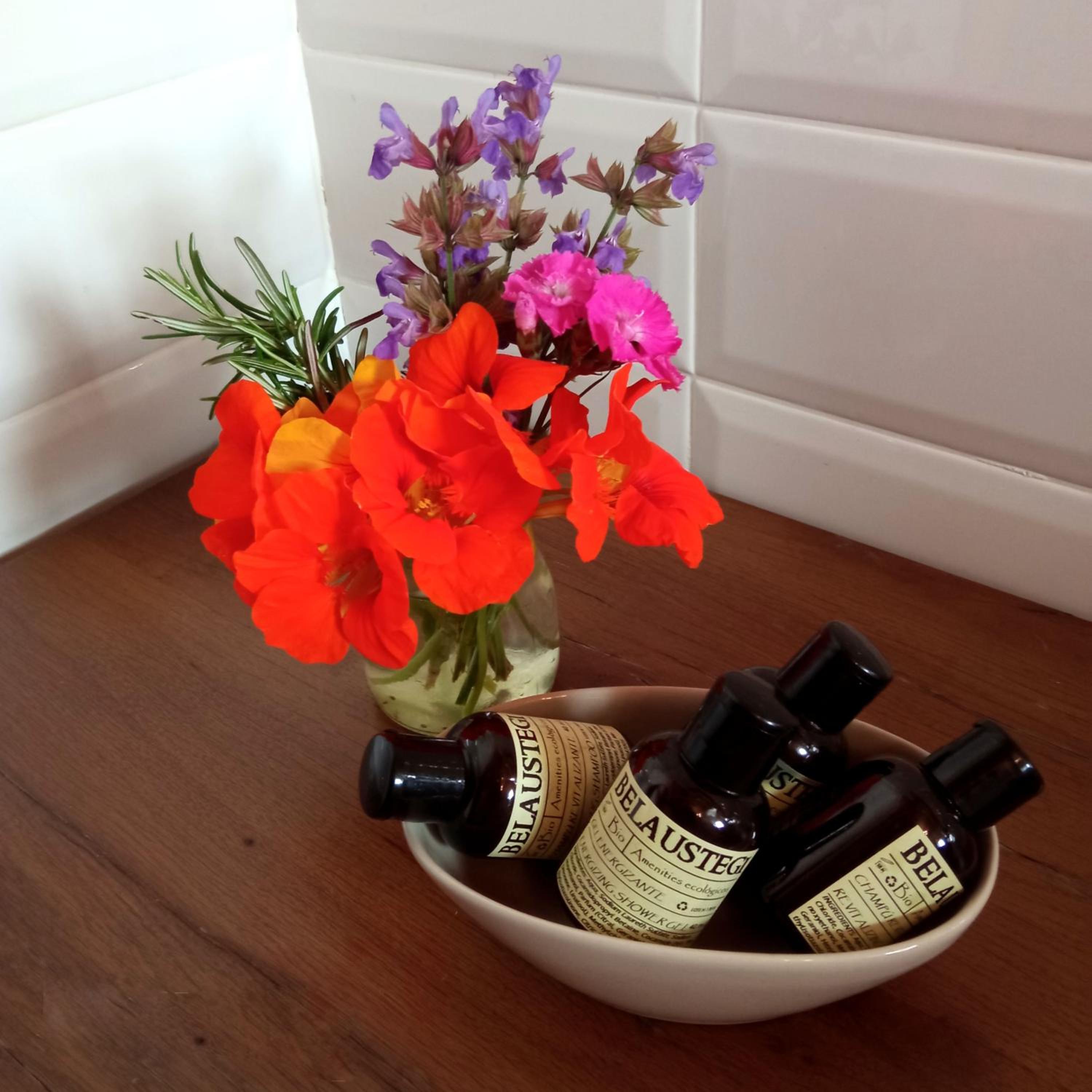 Belaustegi turismo rural