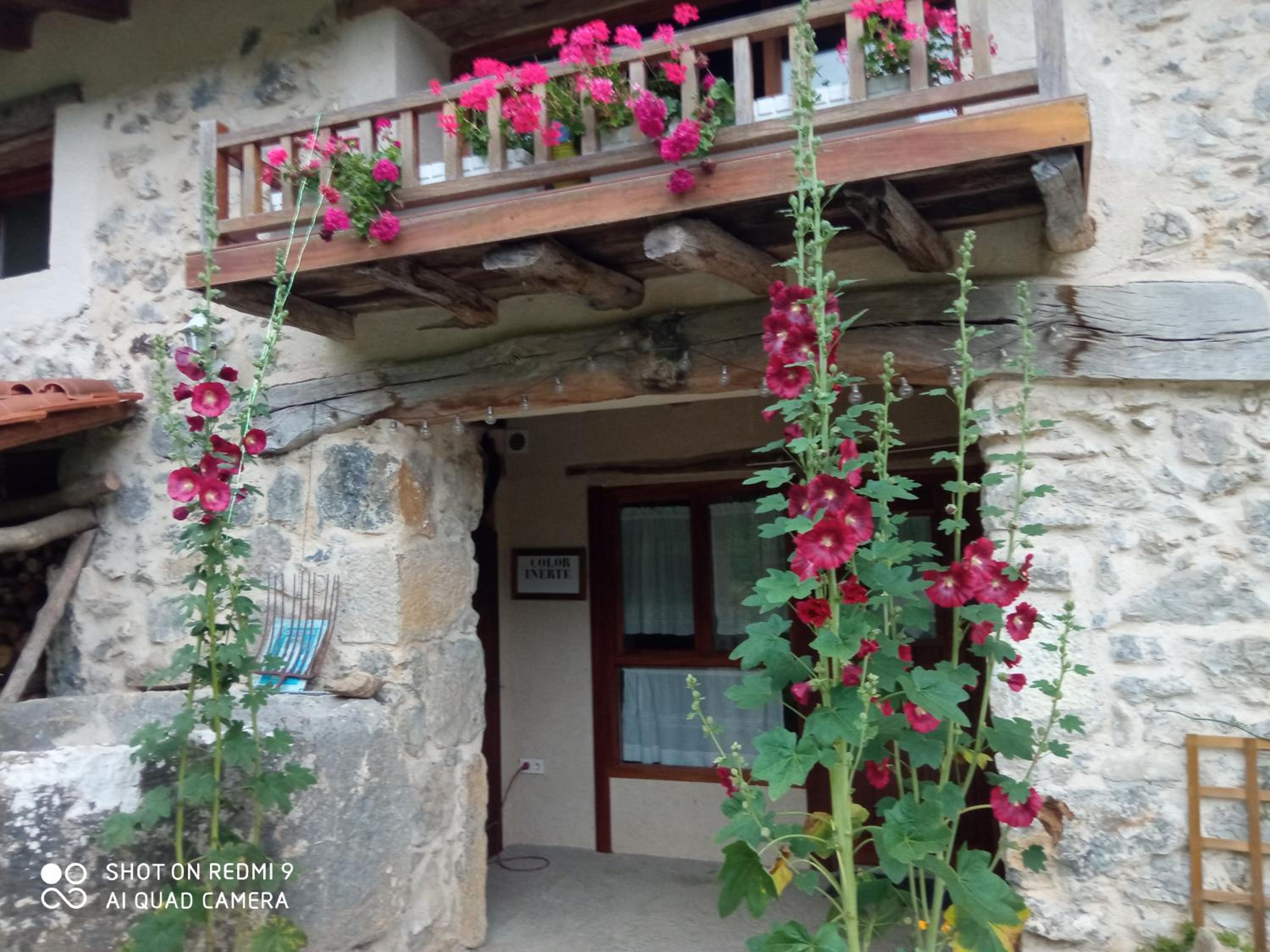 Belaustegi turismo rural