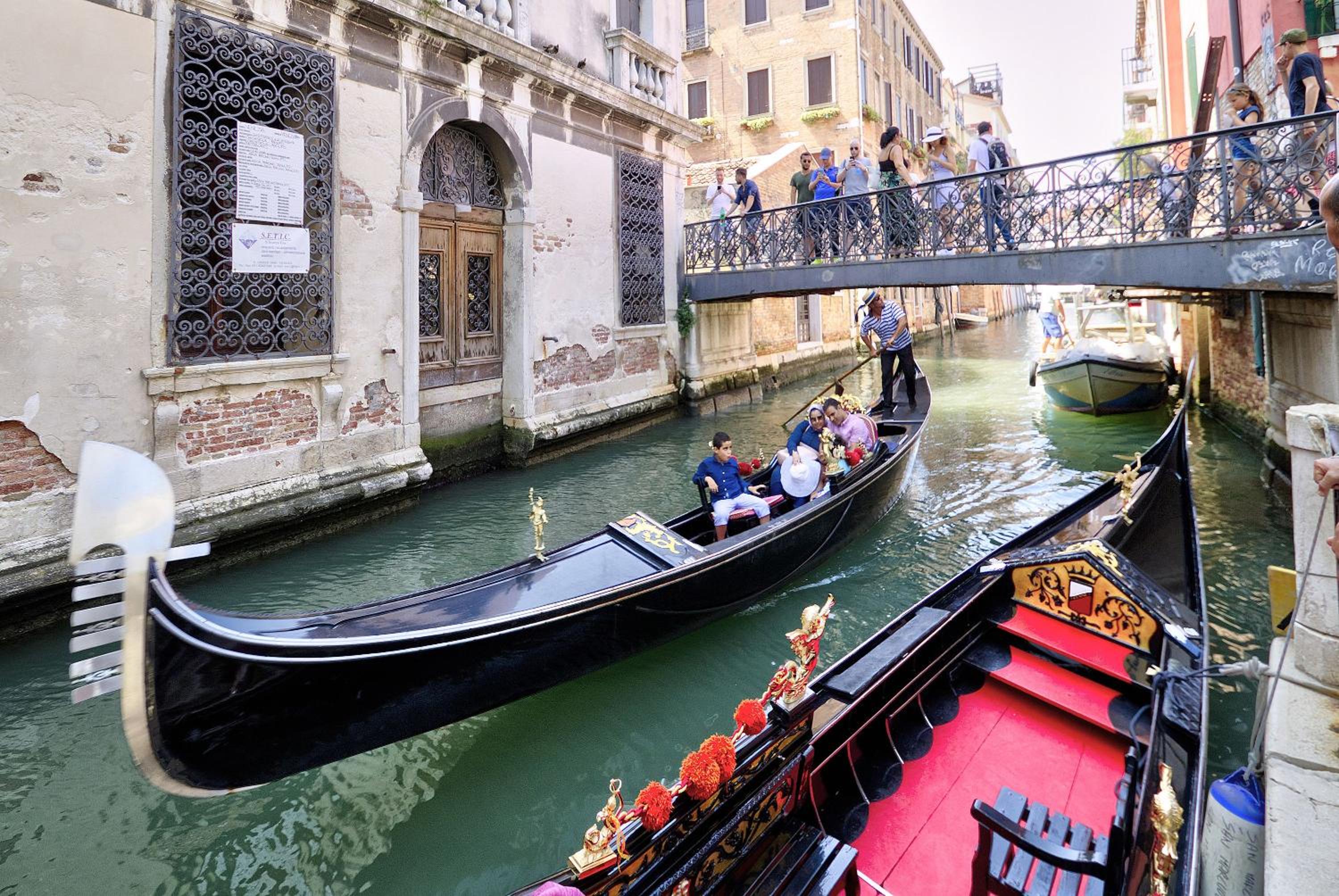 DOGE STAIR, gorgeous - BBC Venice Grand 2024 Tour recorded here!