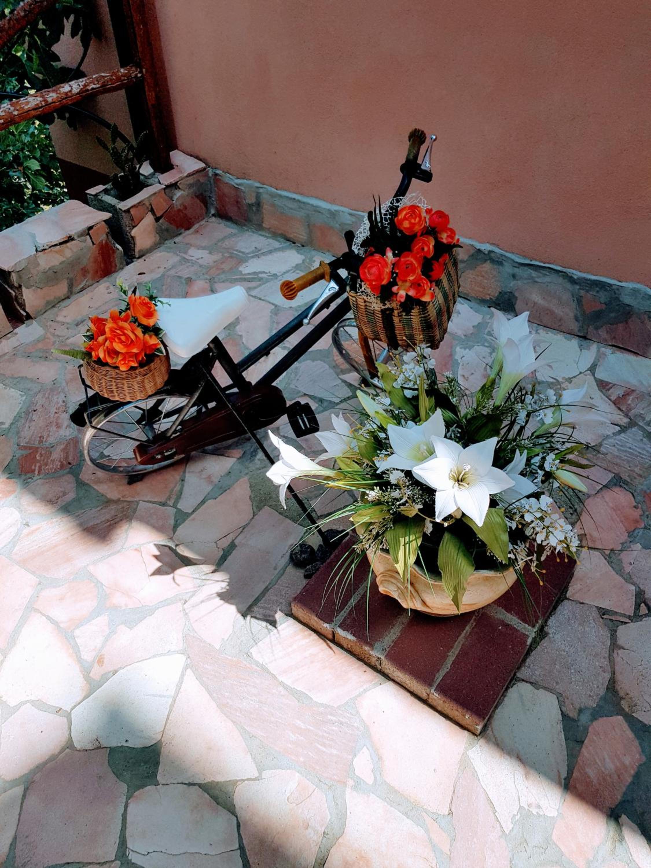 A casa di Lilly view 4